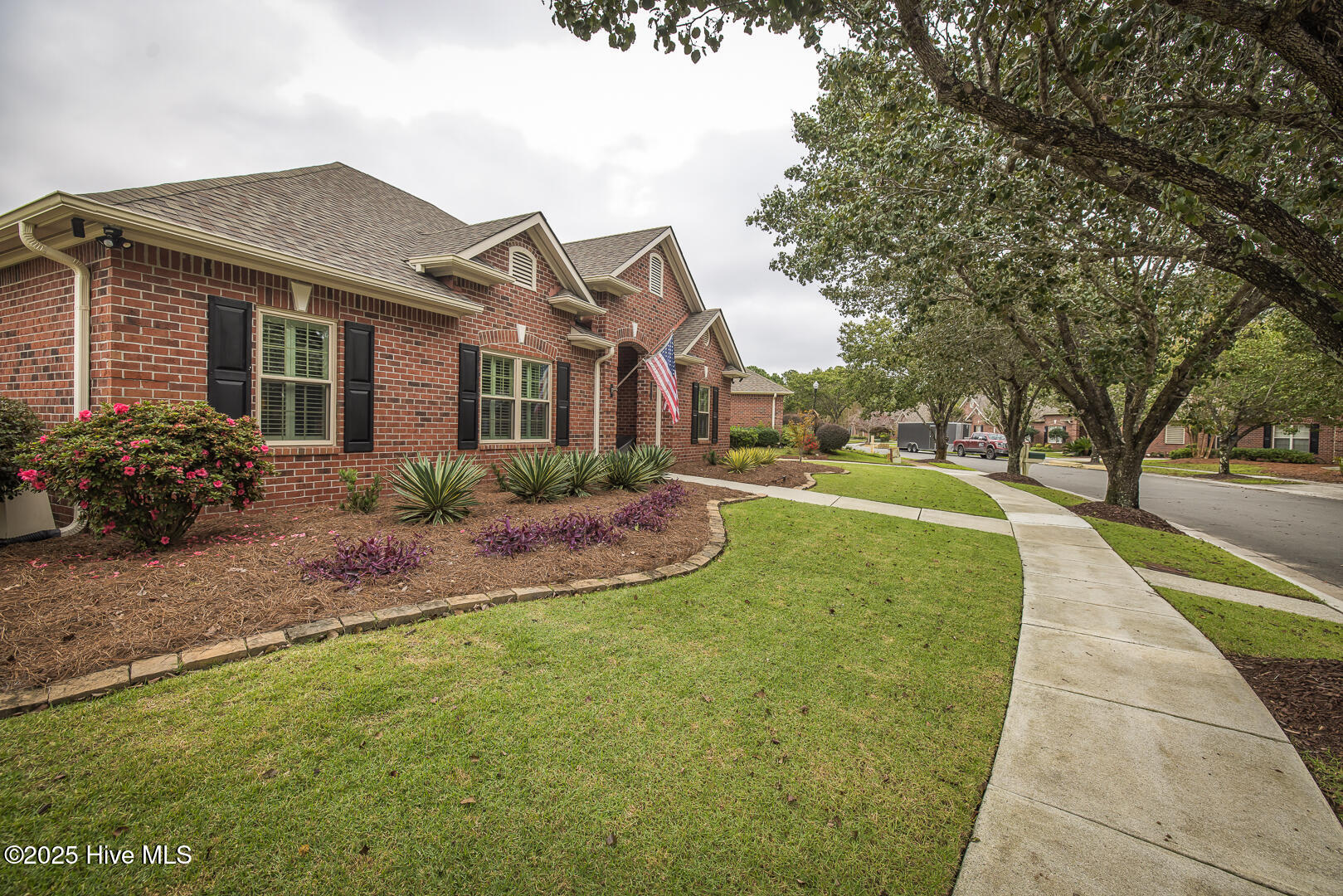 100537191 | Photo 10