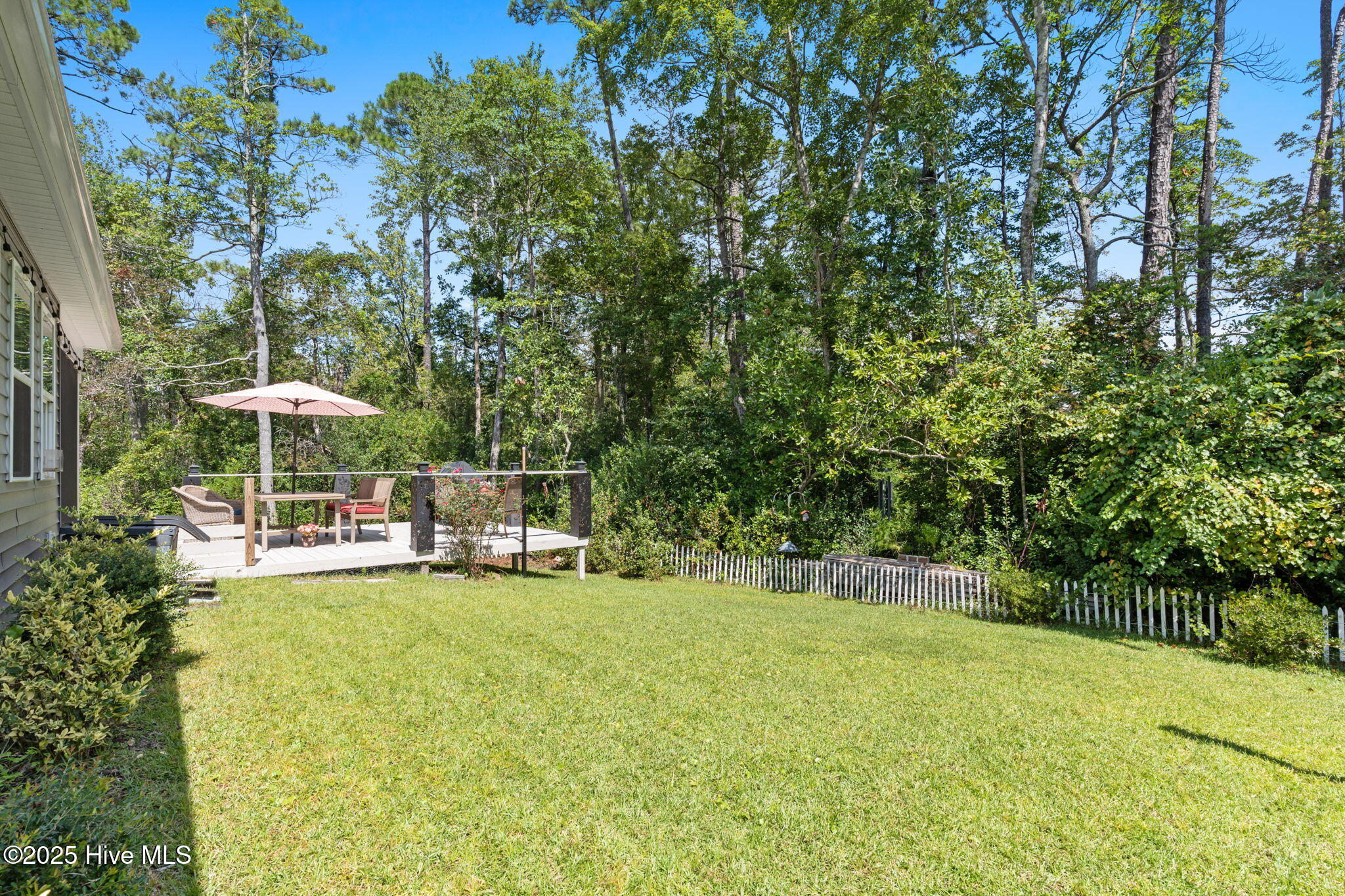 100531628 | Photo 38