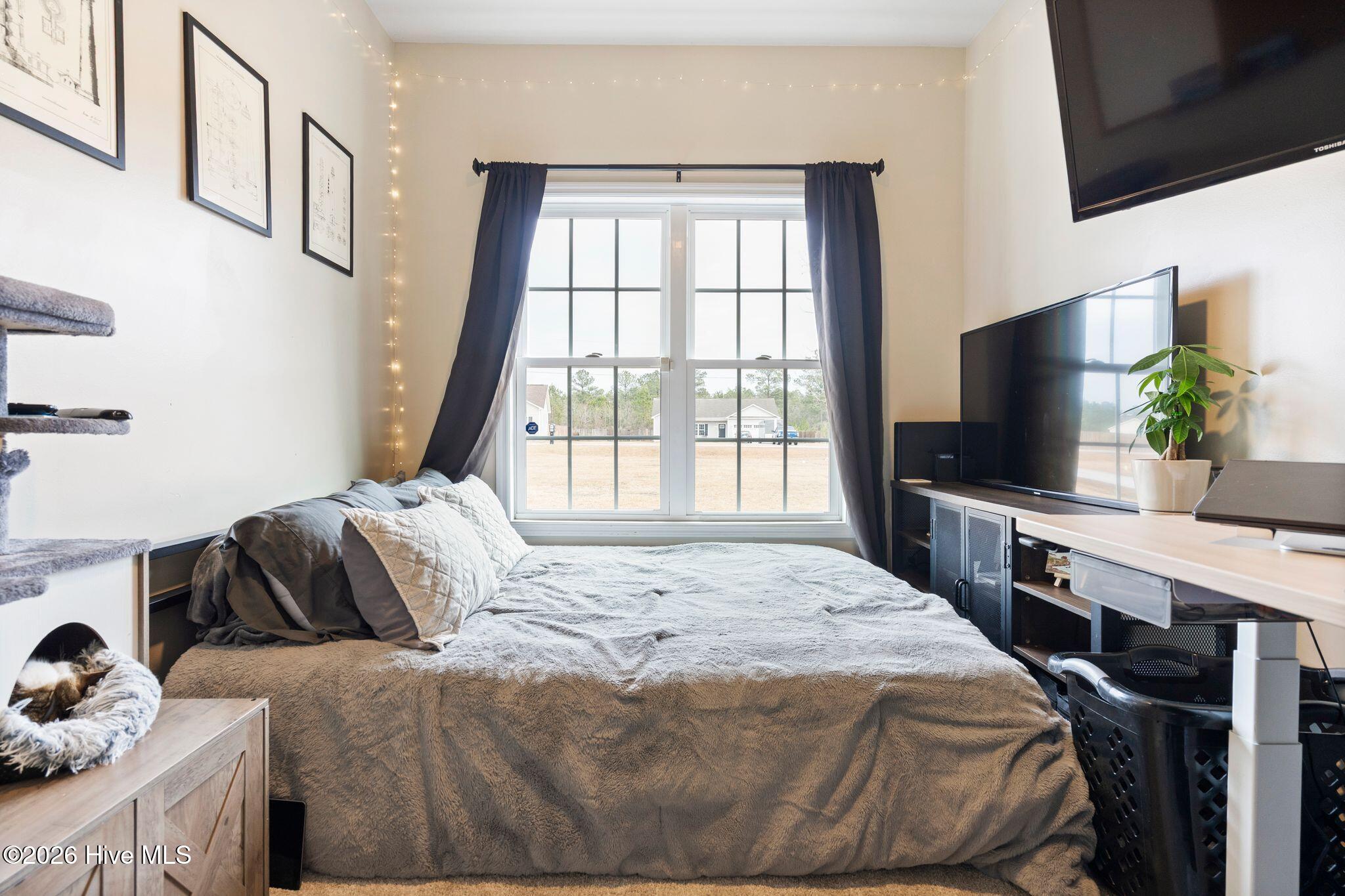 100554731 | Photo 23