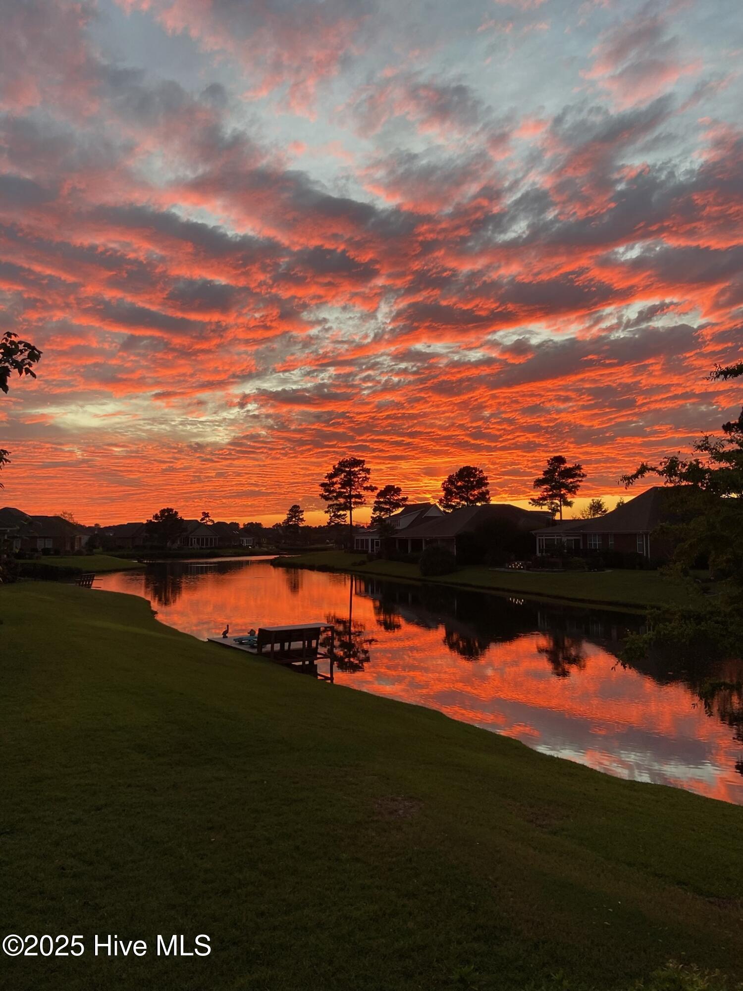 100538091 | Photo 31