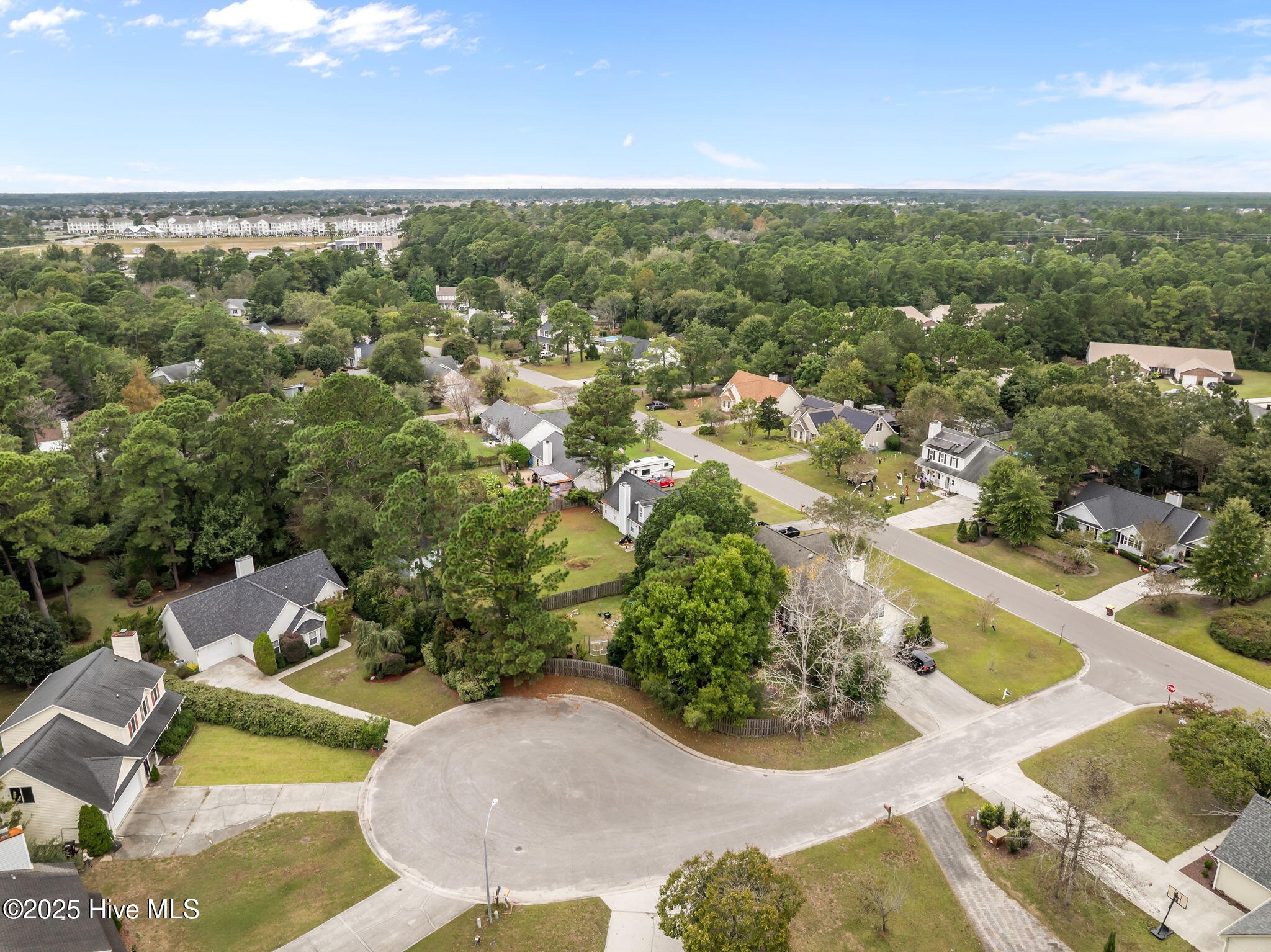 100543555 | Photo 34