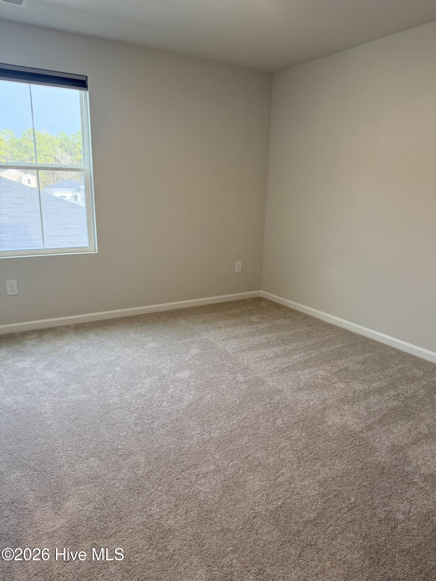 100557384 | Photo 20