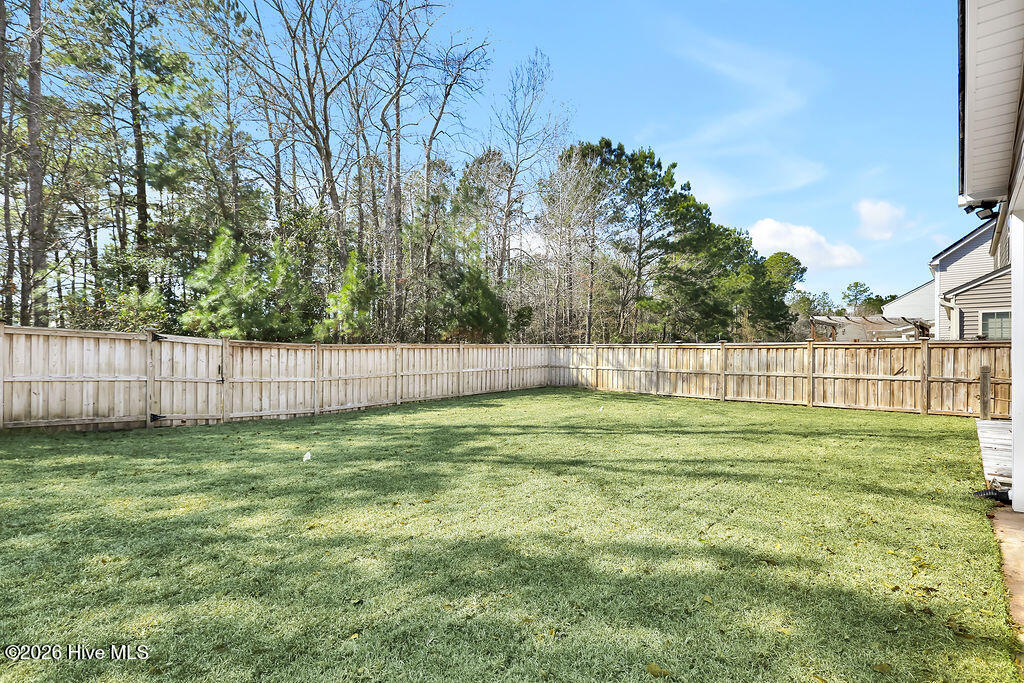 100558736 | Photo 36