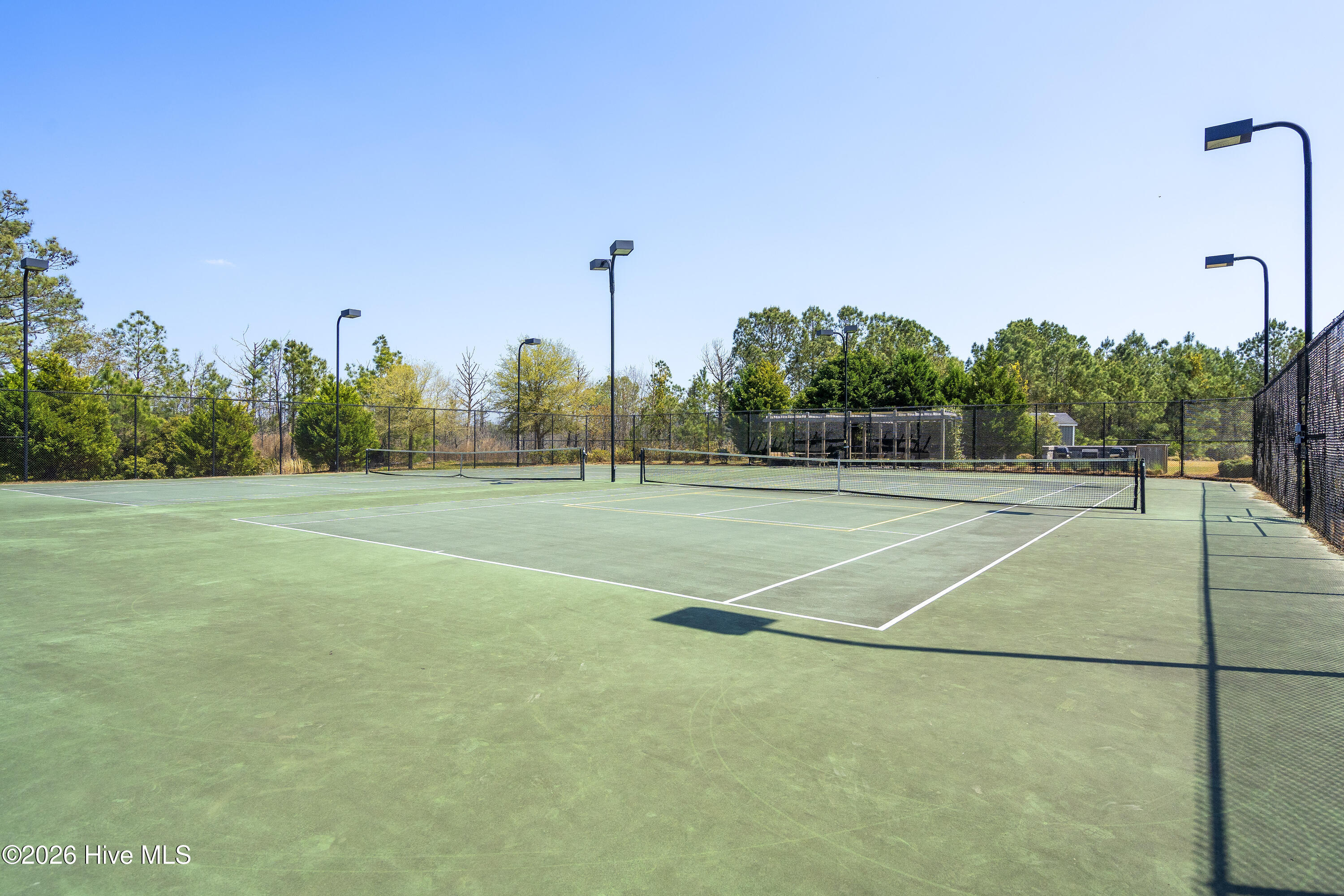 100562110 | Photo 97