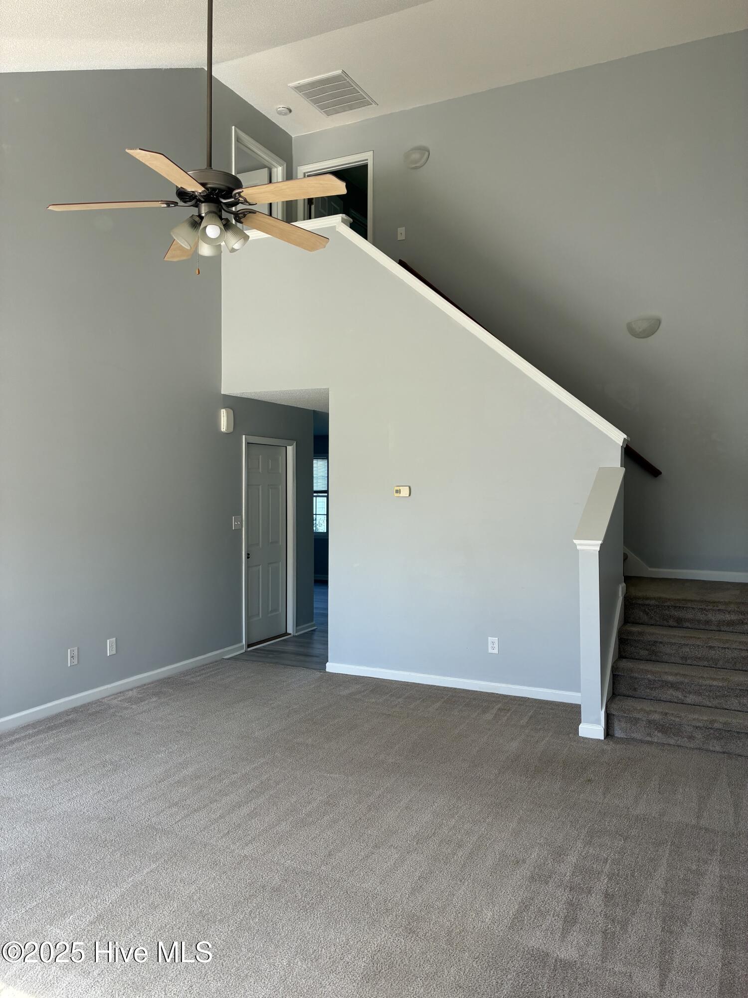 100562851 | Photo 12