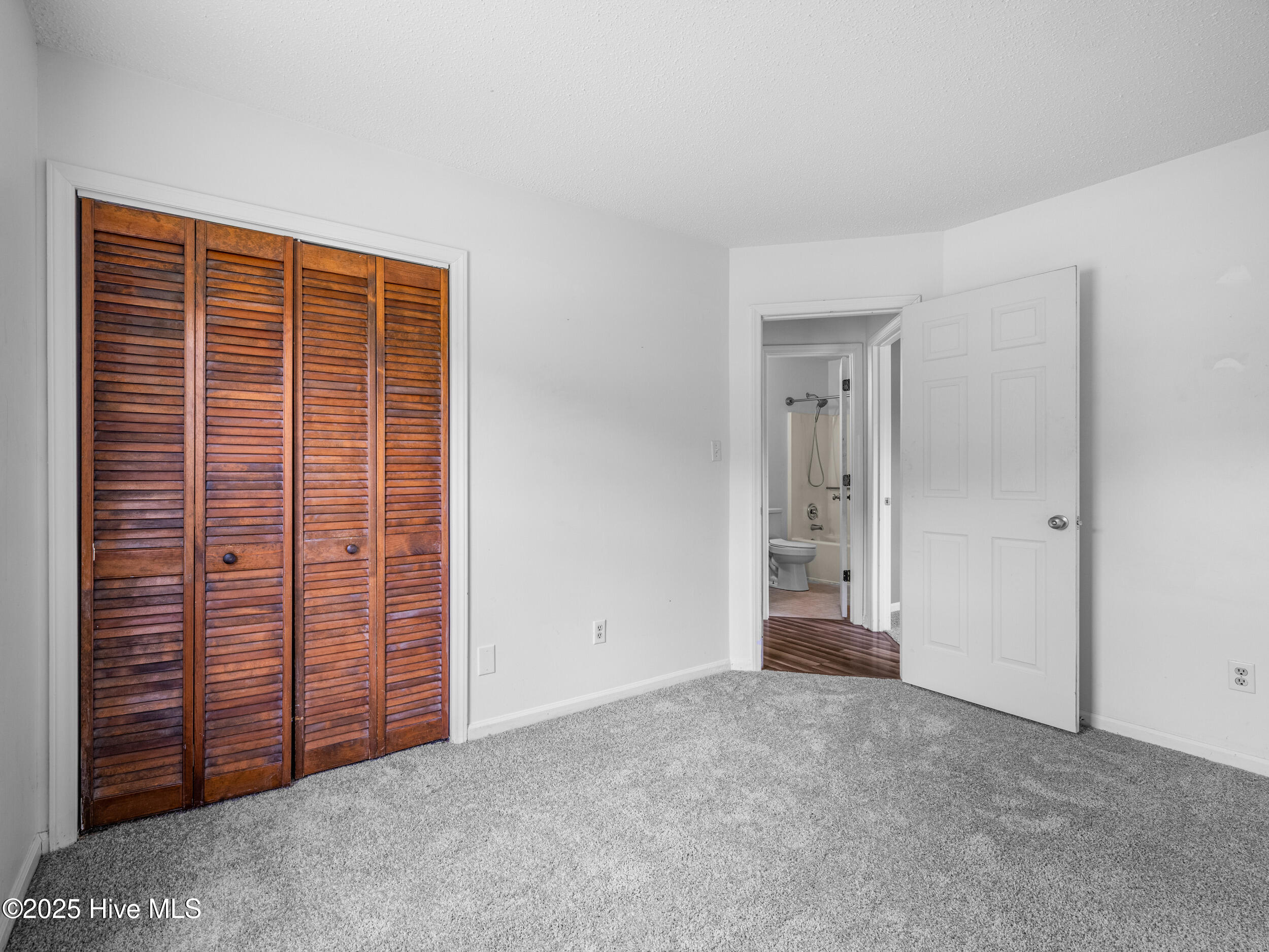 100521446 | Photo 23