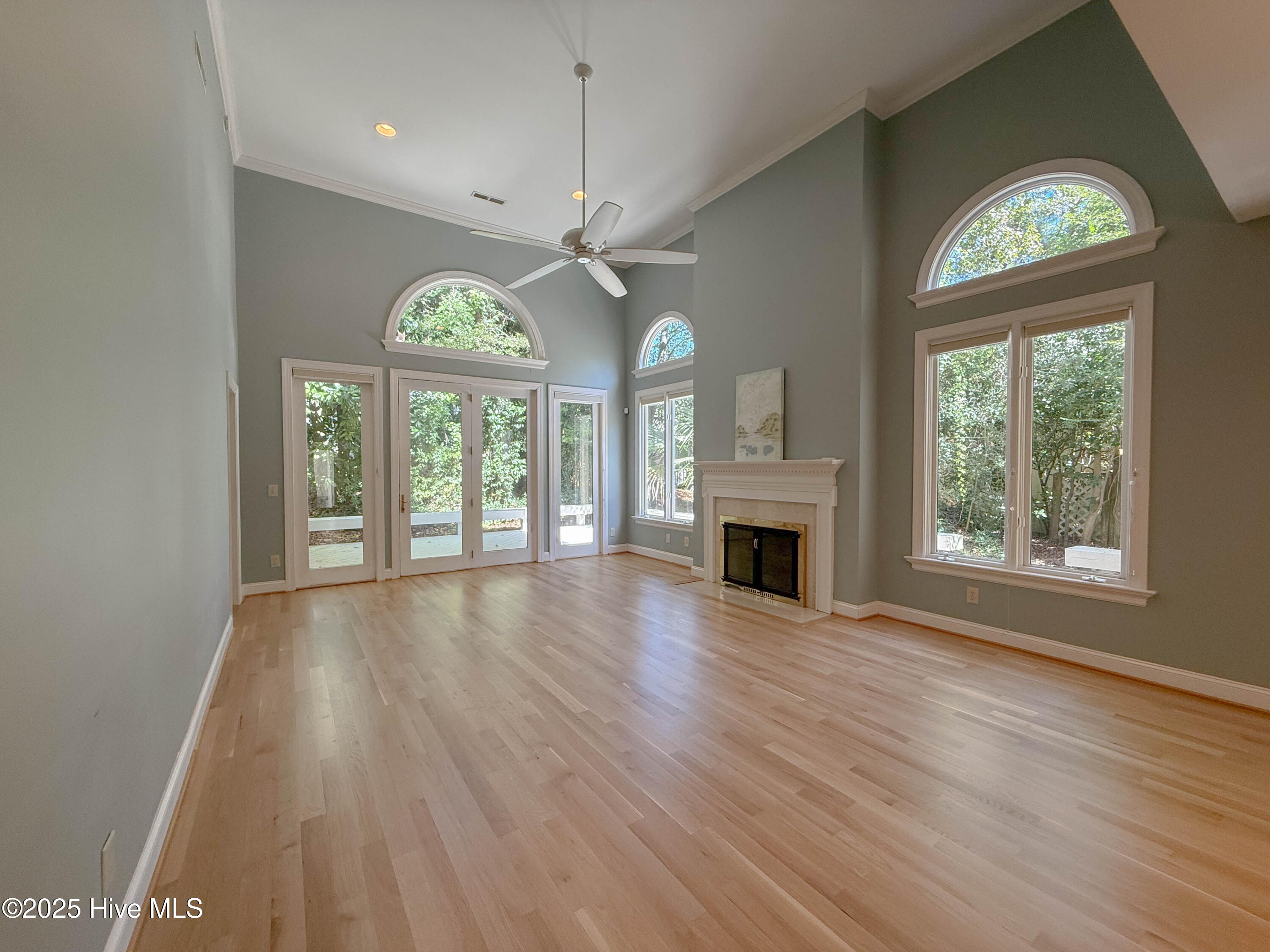 100535071 | Photo 10