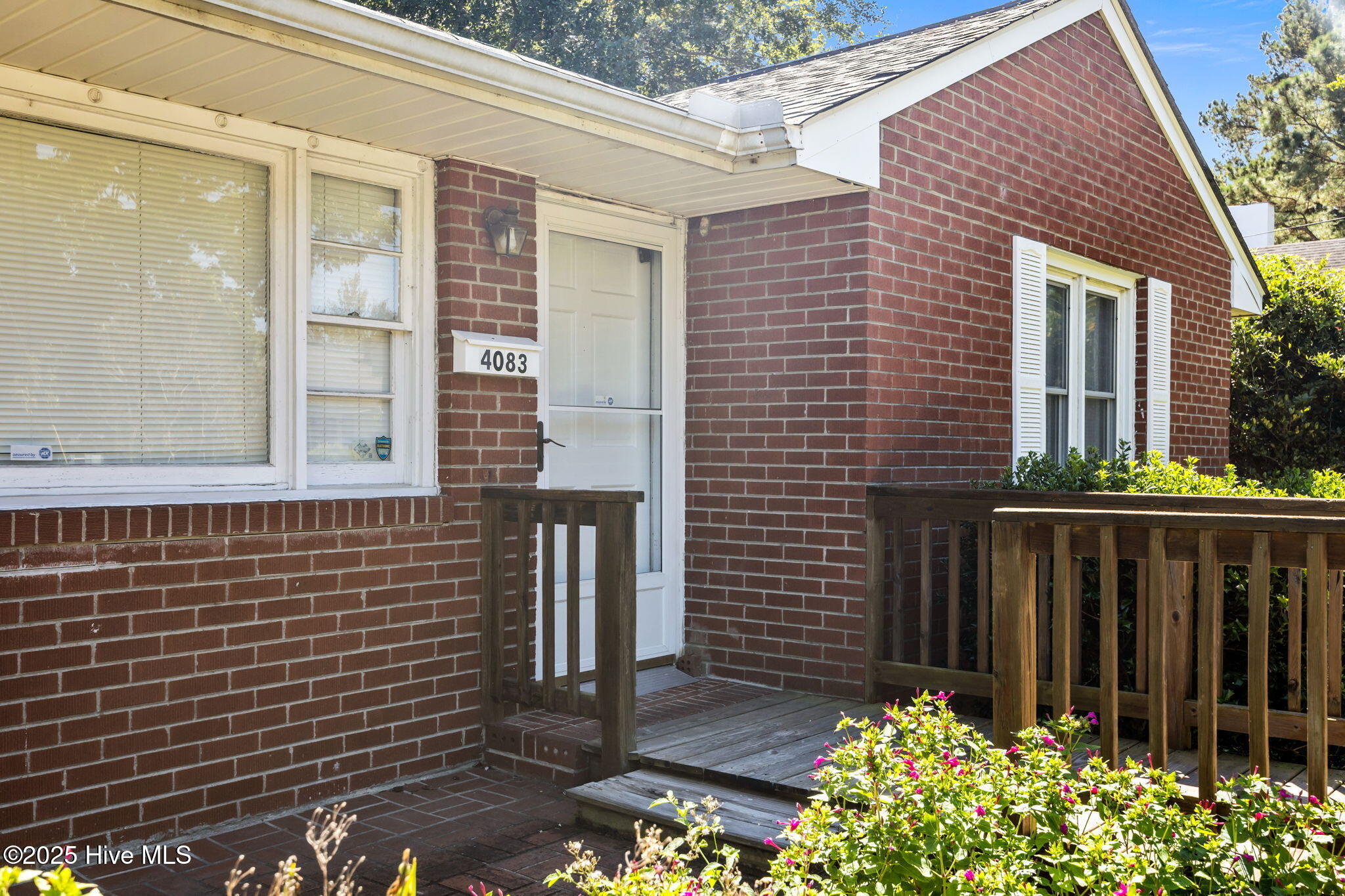 18-web-or-mls-IMG_1623