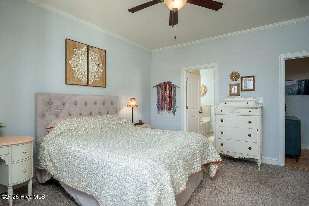 100569625 | Photo 27