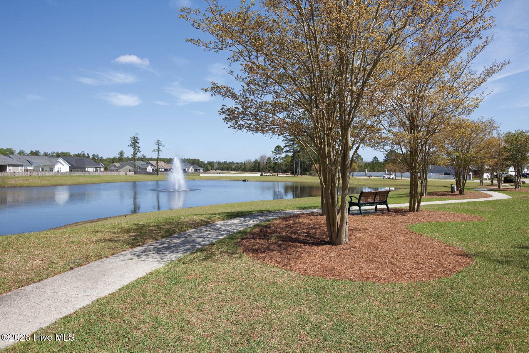 100551250 | Photo 31