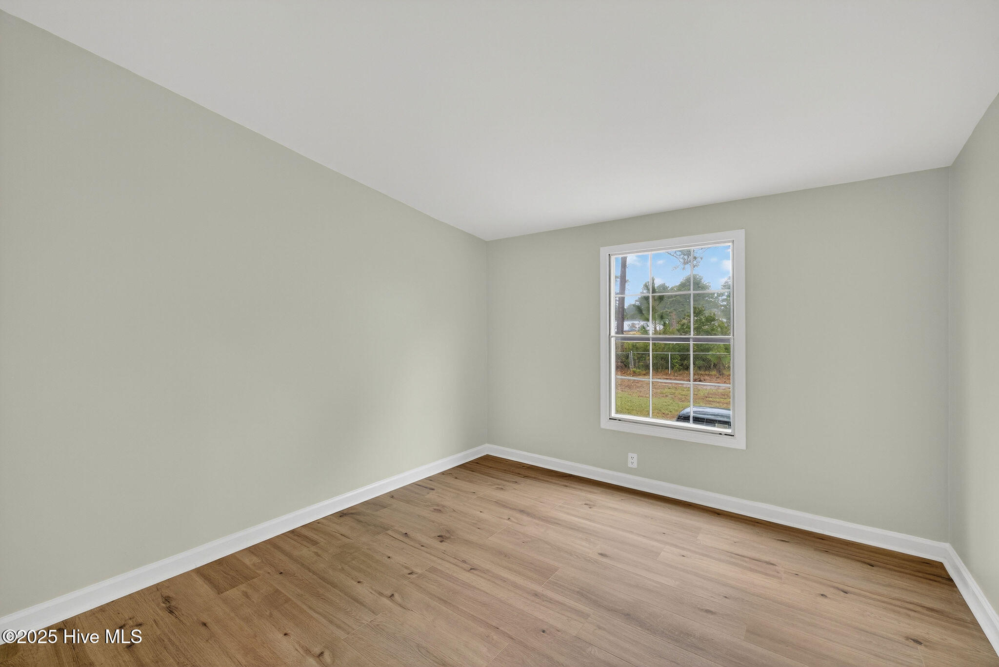 100539132 | Photo 27