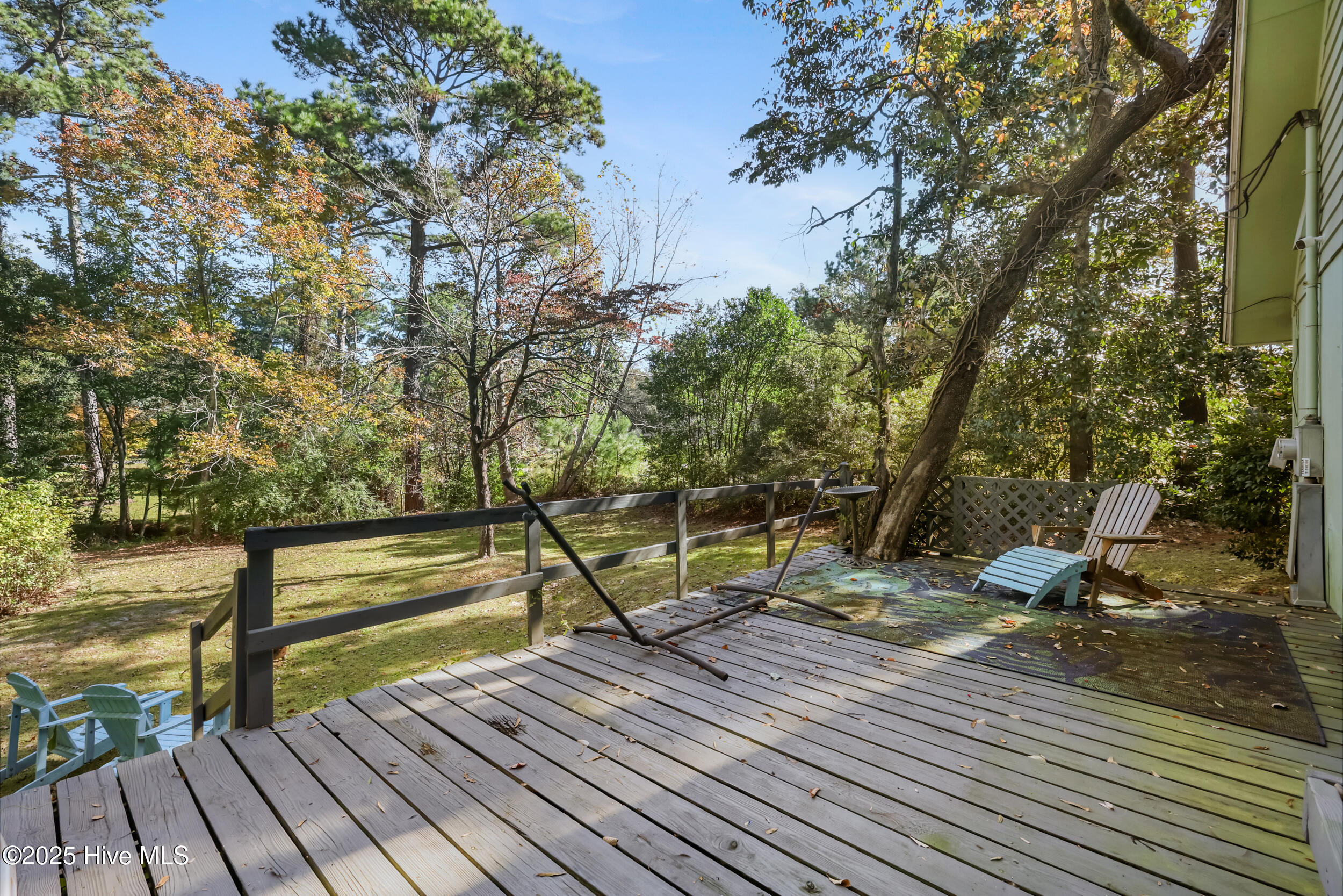 100537858 | Photo 24