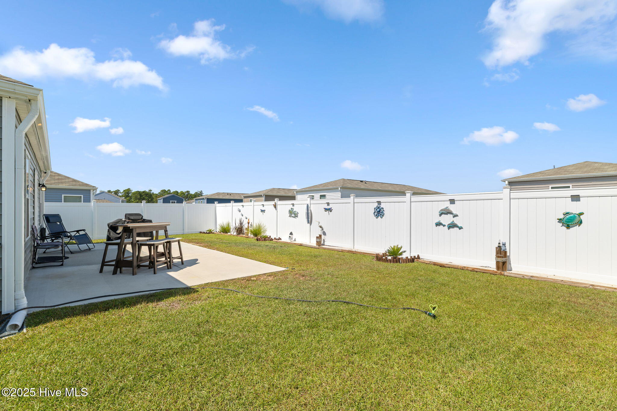 100531495 | Photo 29