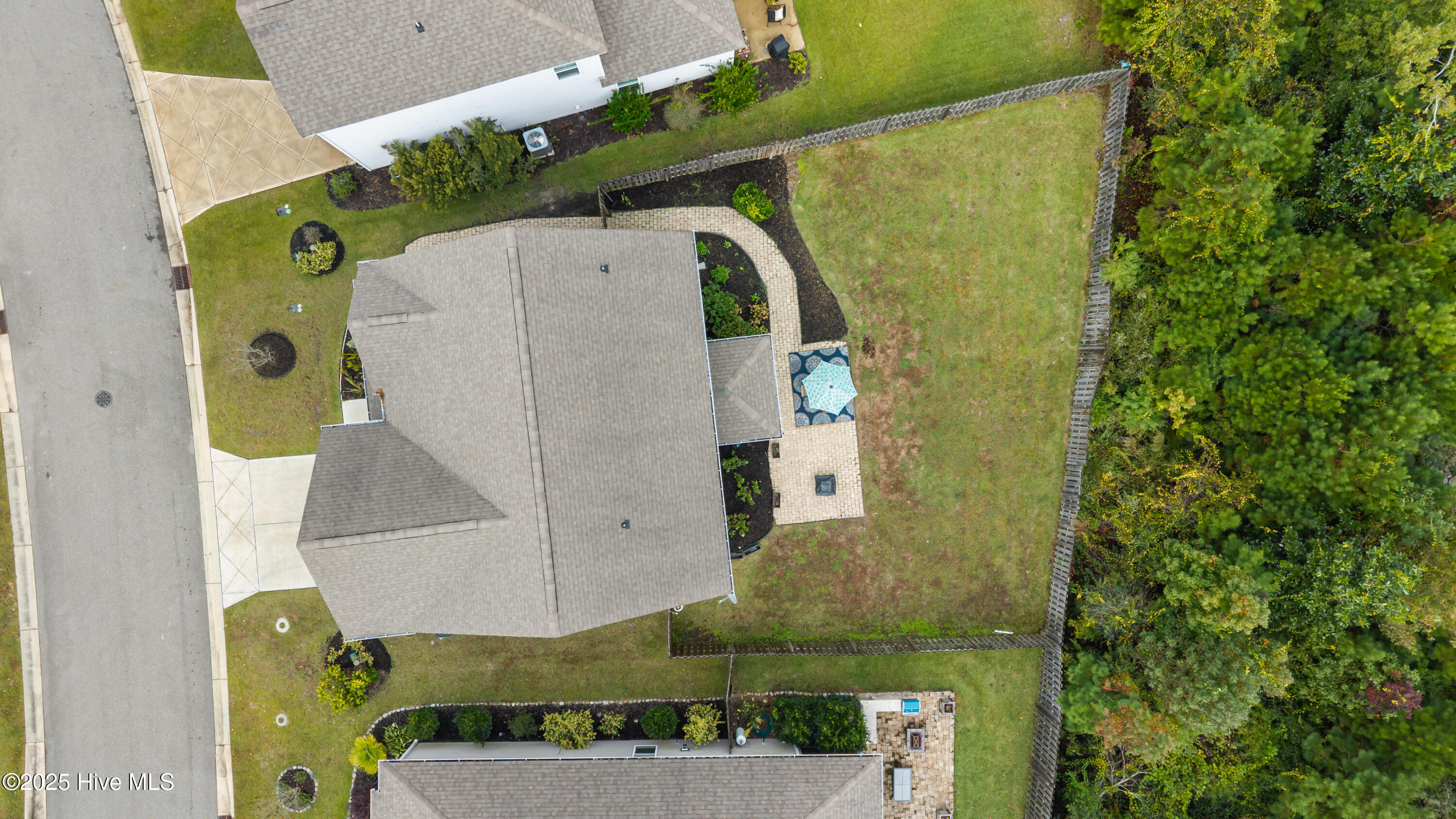 100539239 | Photo 37