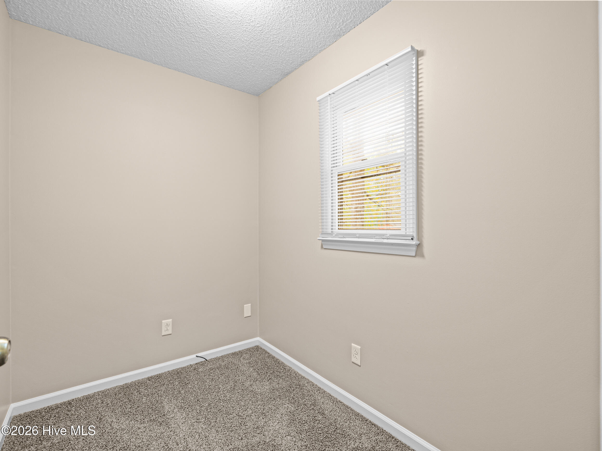 100564987 | Photo 28