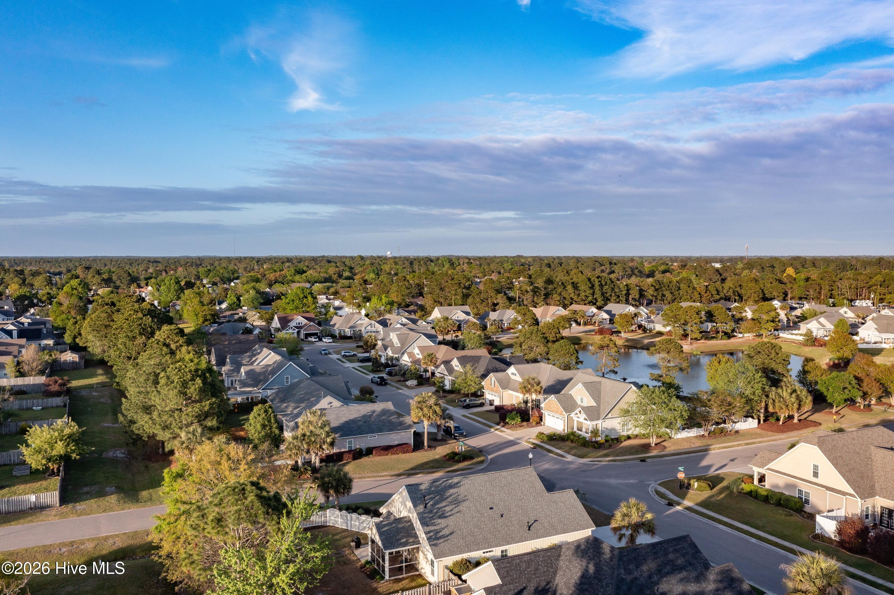 100566210 | Photo 38