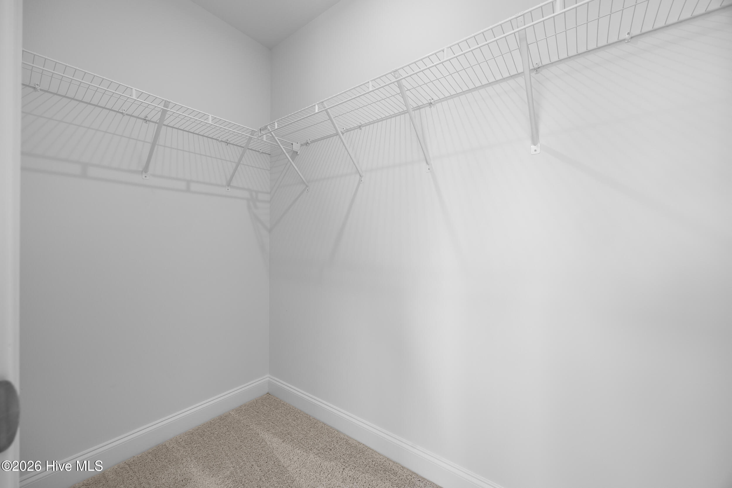 100527051 | Photo 48