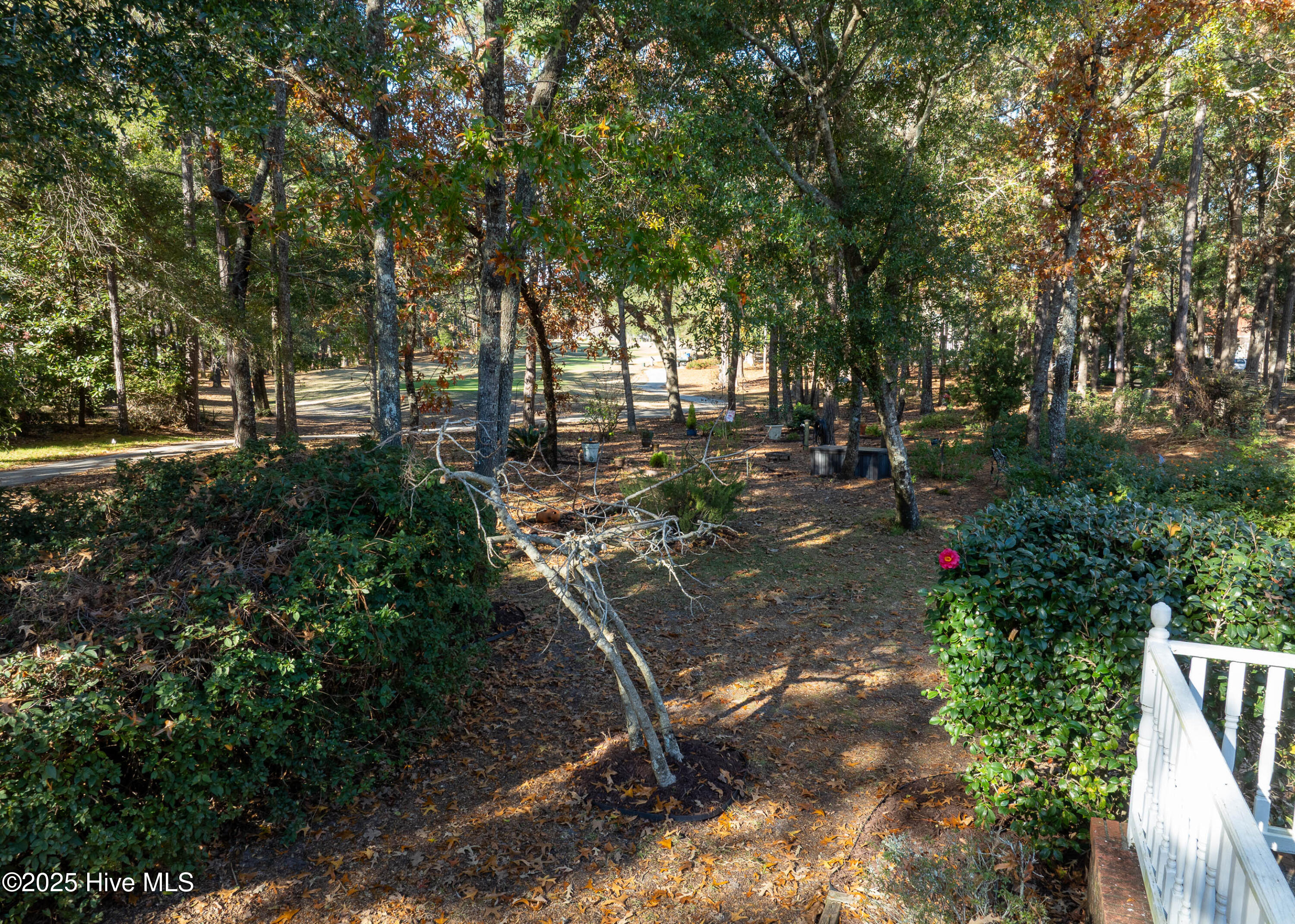 100543941 | Photo 63