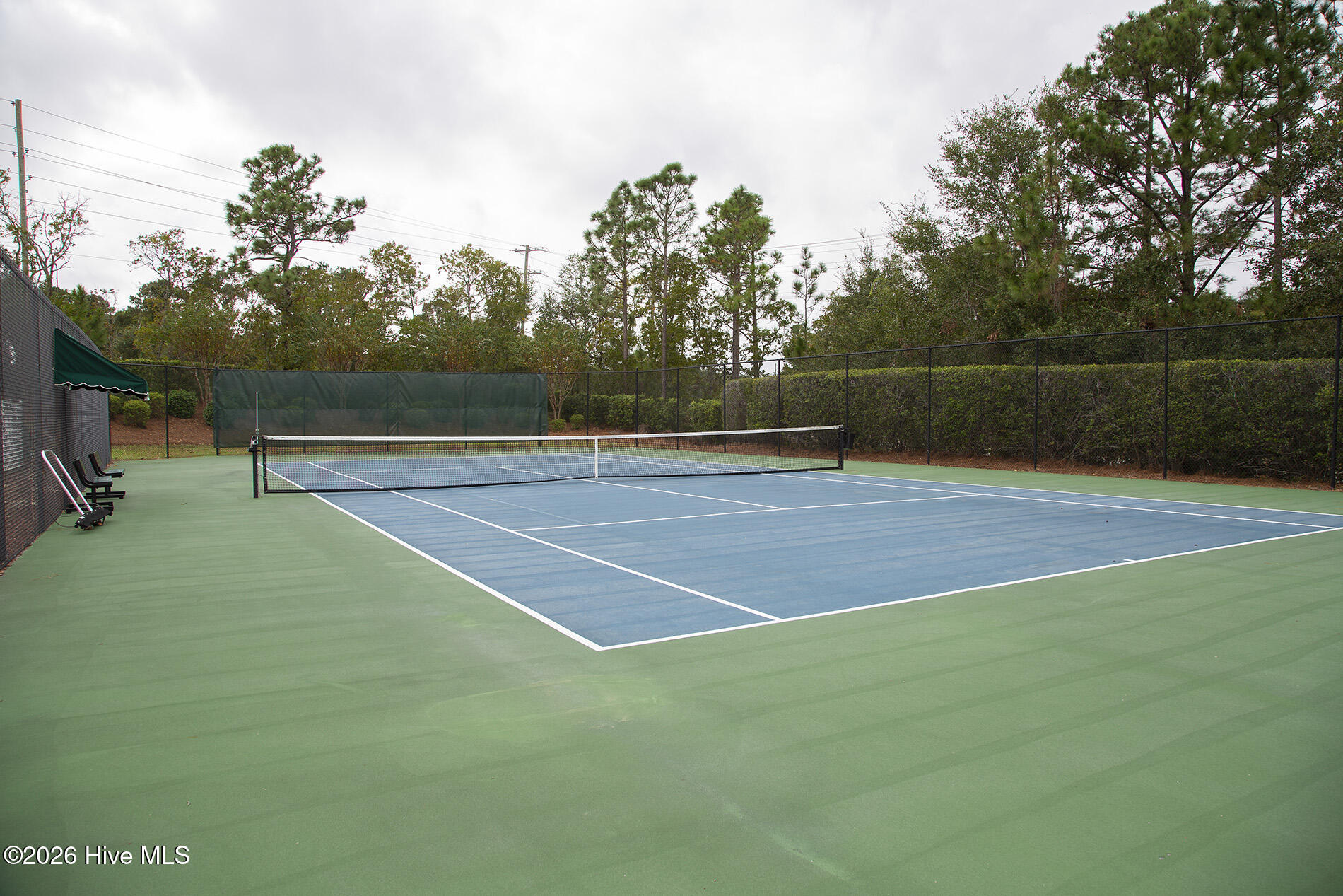 100567107 | Photo 49