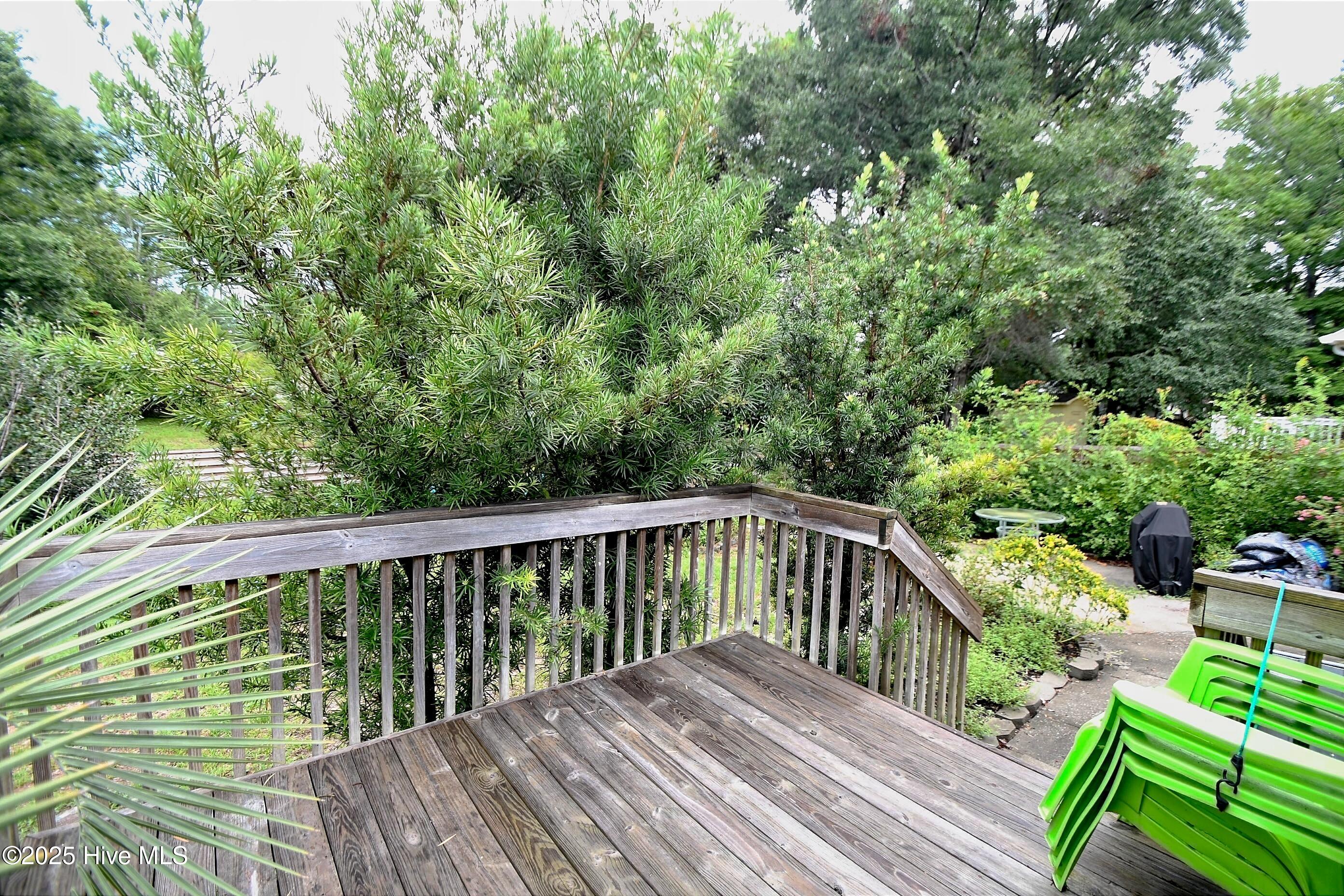 100523819 | Photo 10