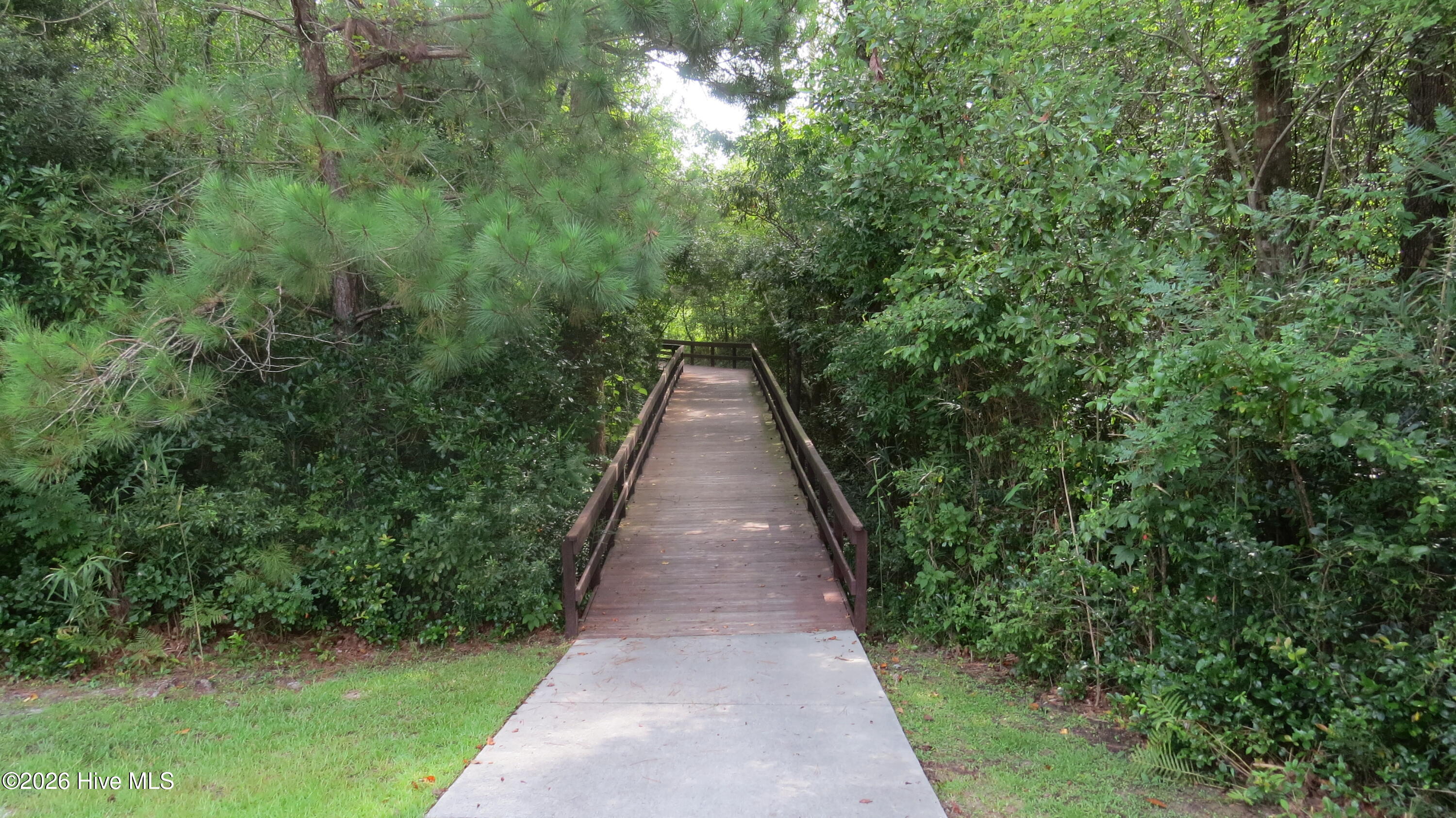 100559820 | Photo 19