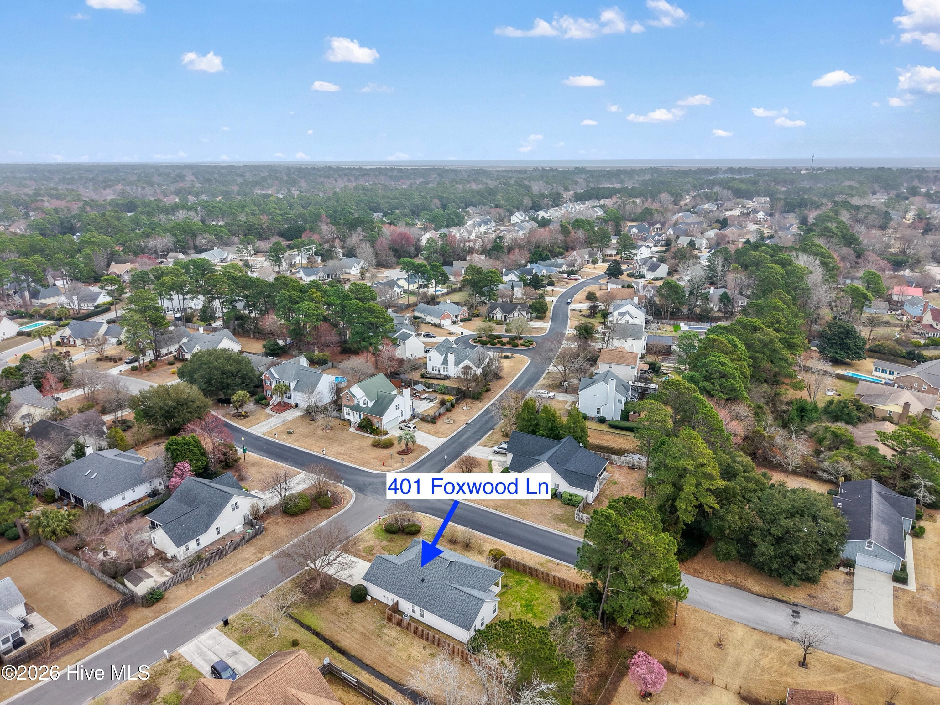 100558212 | Photo 41