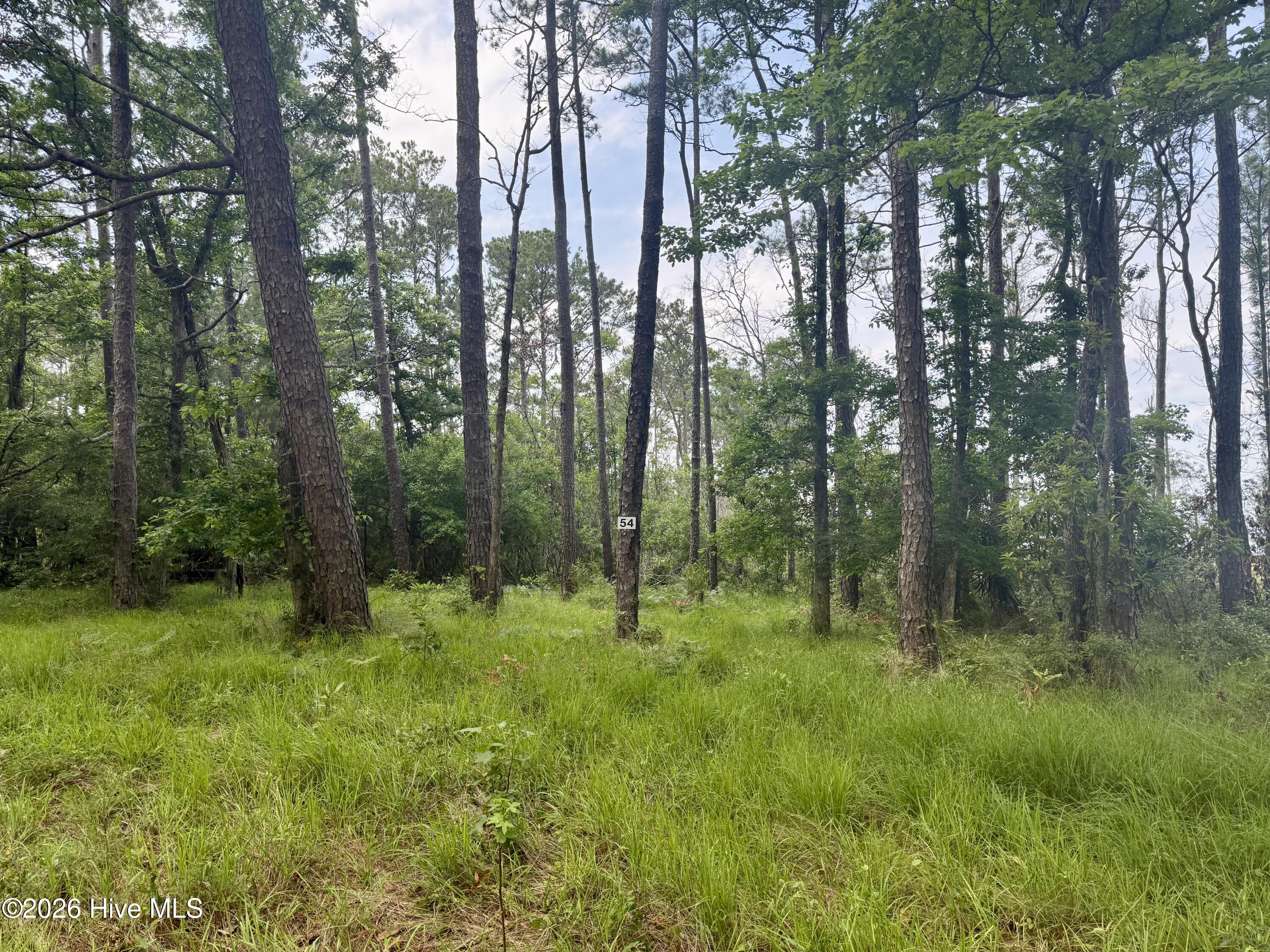 558 Sandy Point 