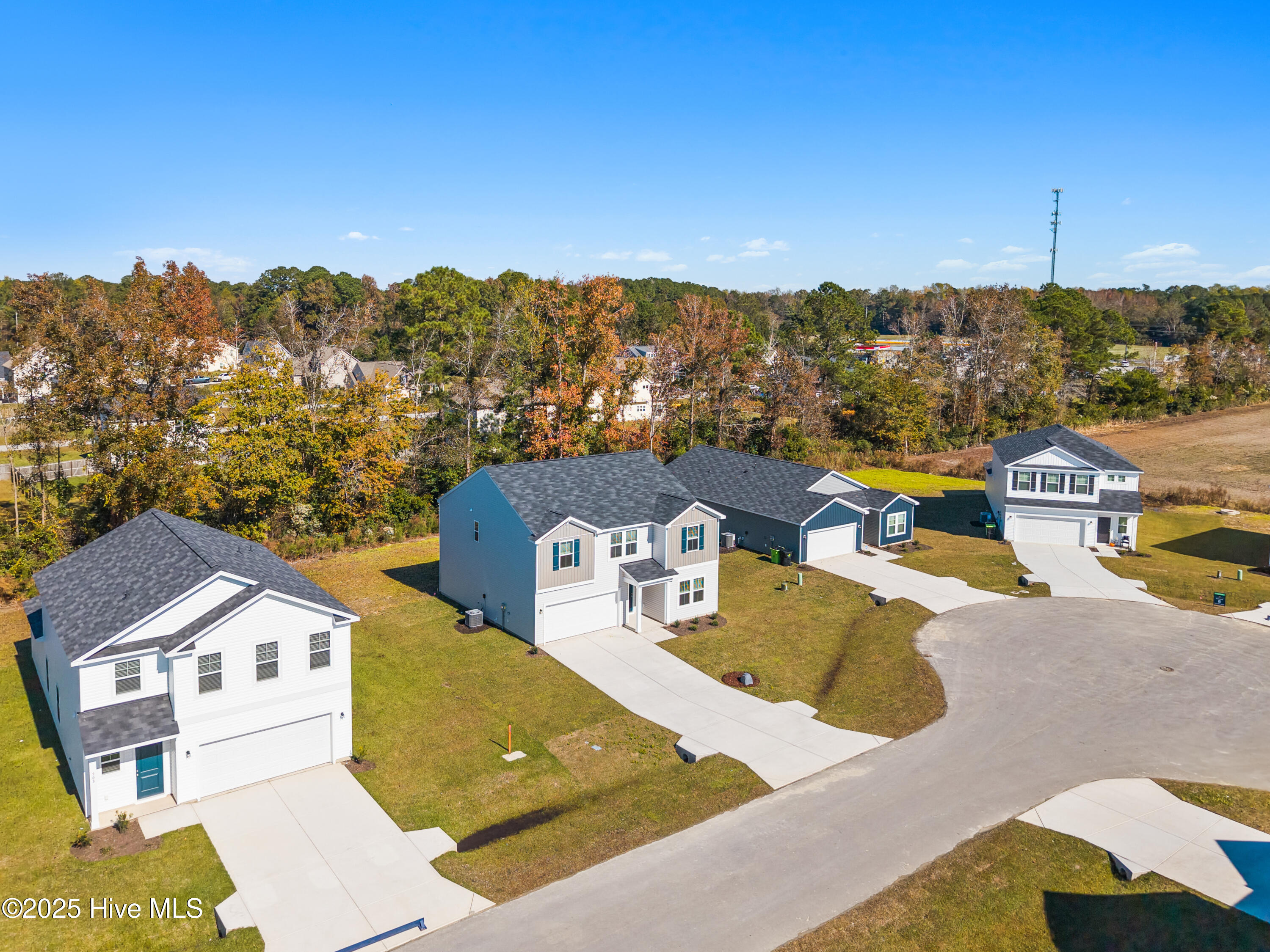 100525599 | Photo 38