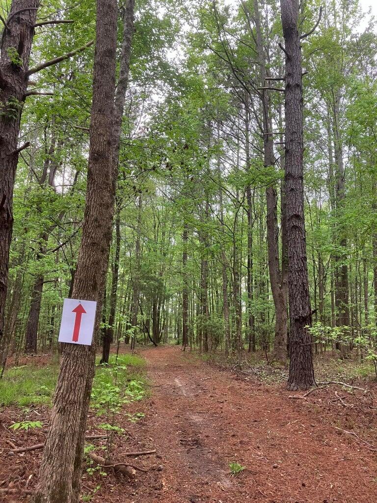 0 Gales Road, Appling, GA, 30802