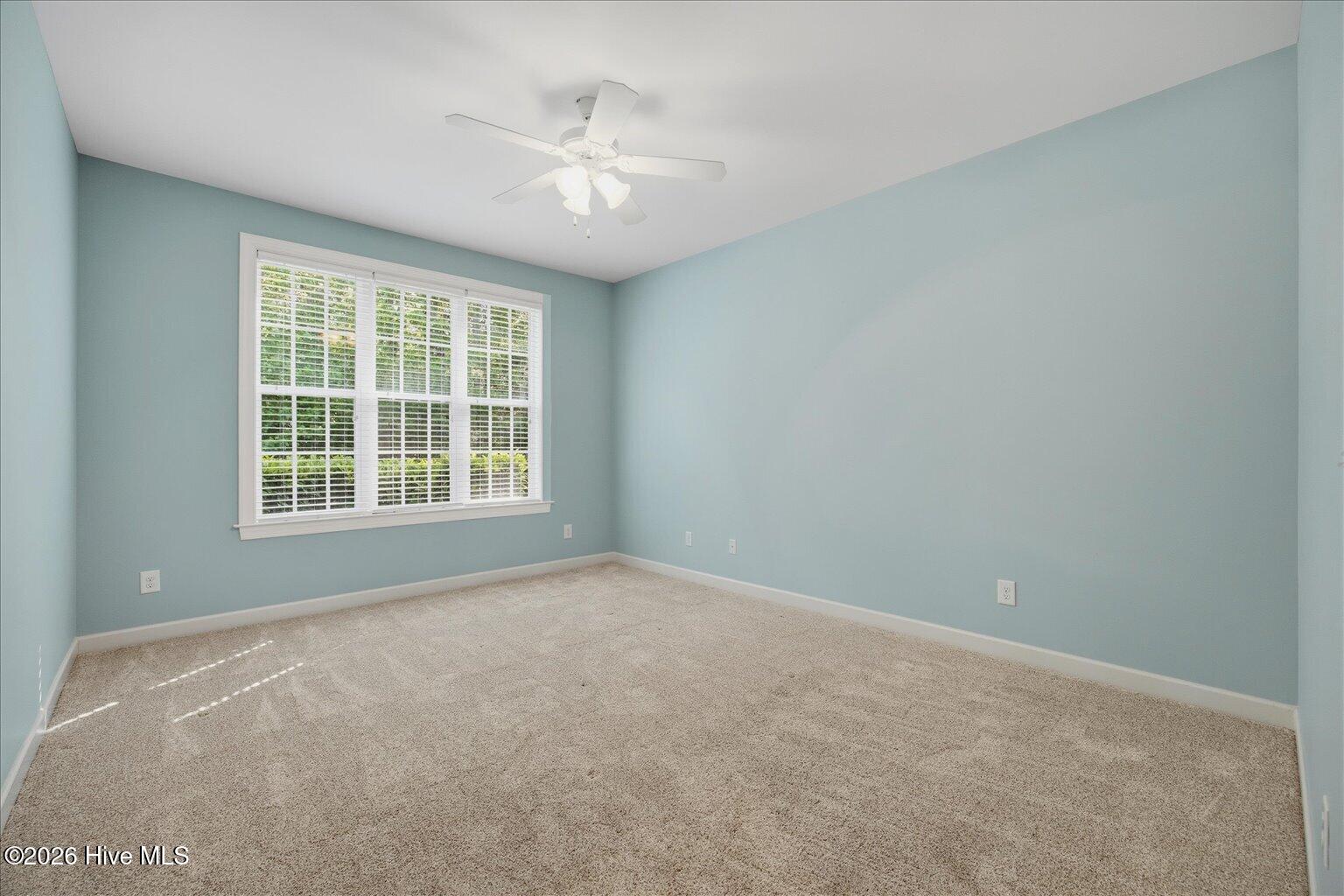 100568811 | Photo 26