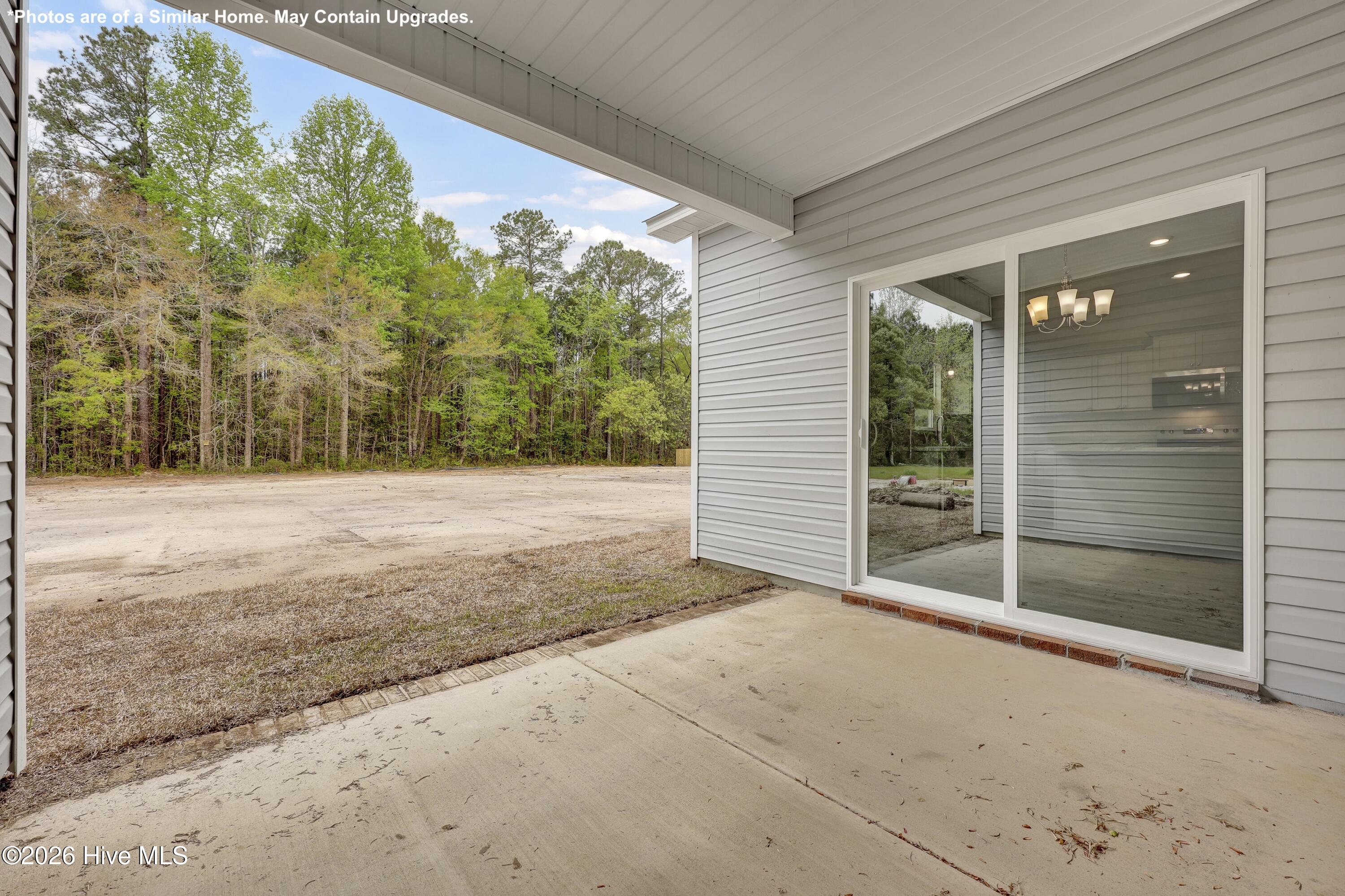 100557198 | Photo 28