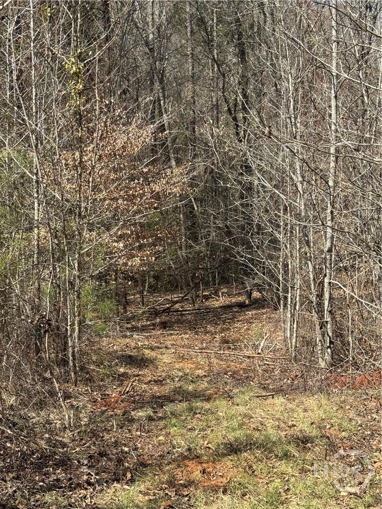 738 Old Mineral Springs Road, Elberton, GA, 30635