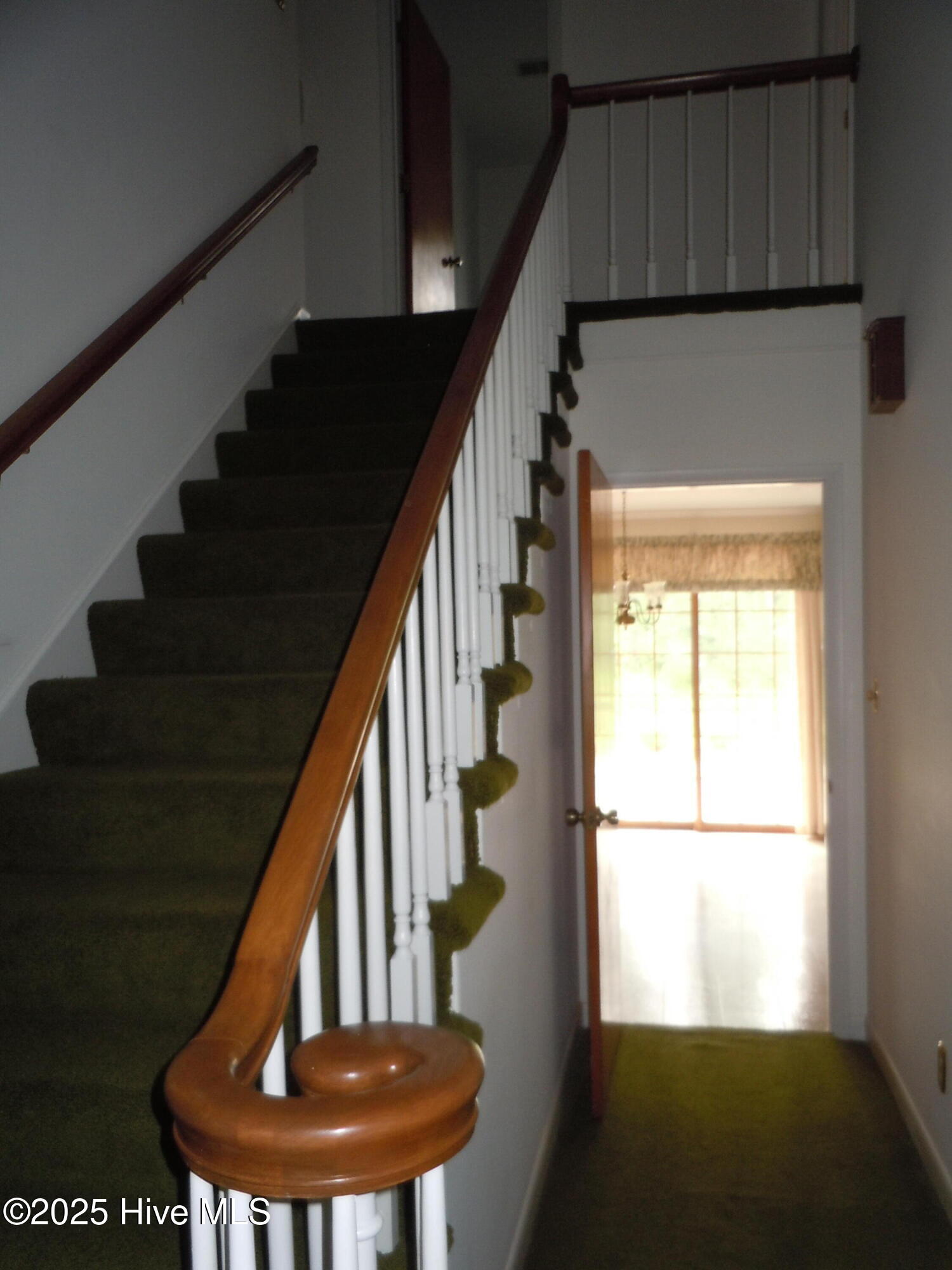 100533053 | Photo 55