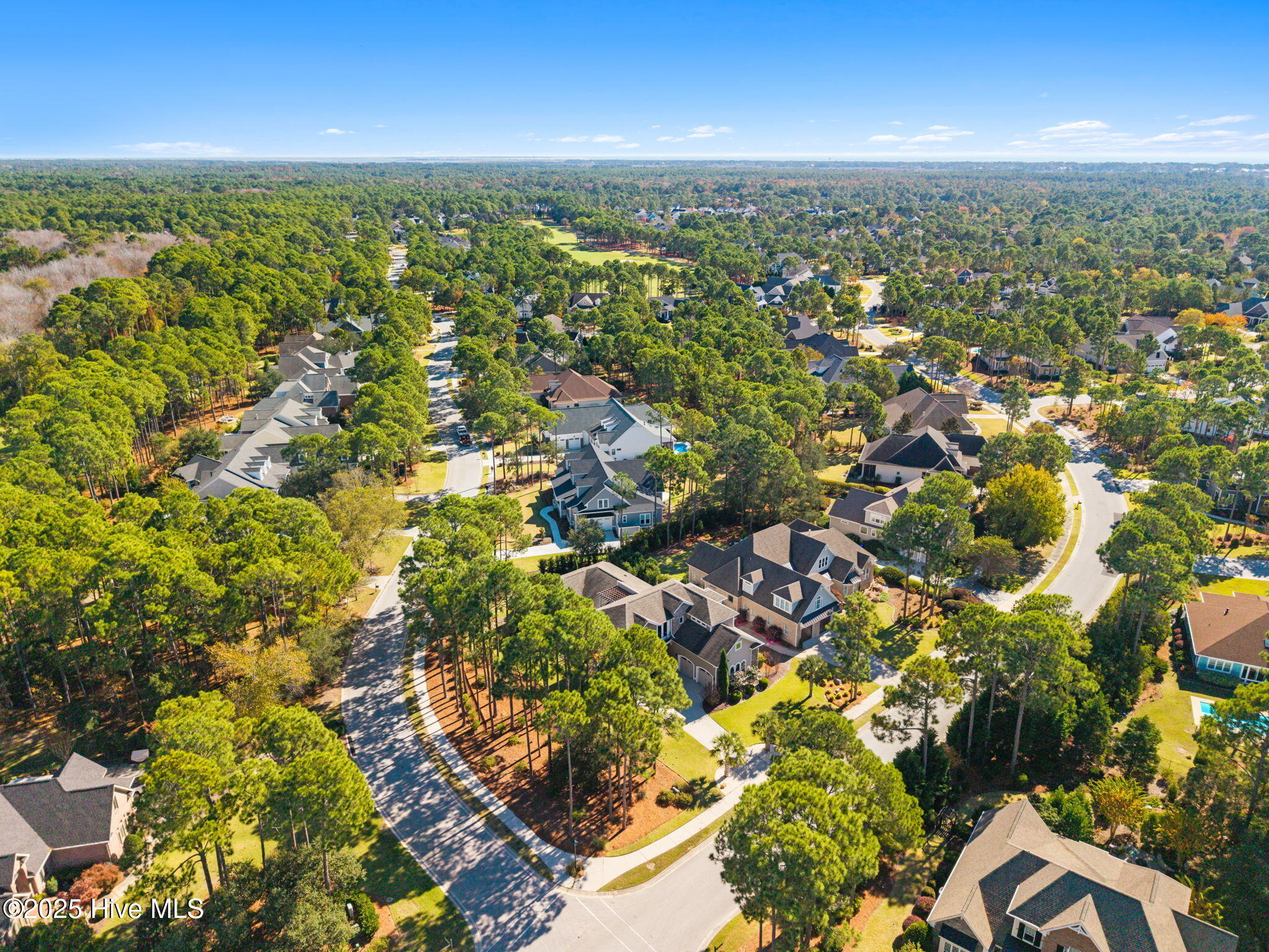 100540302 | Photo 81