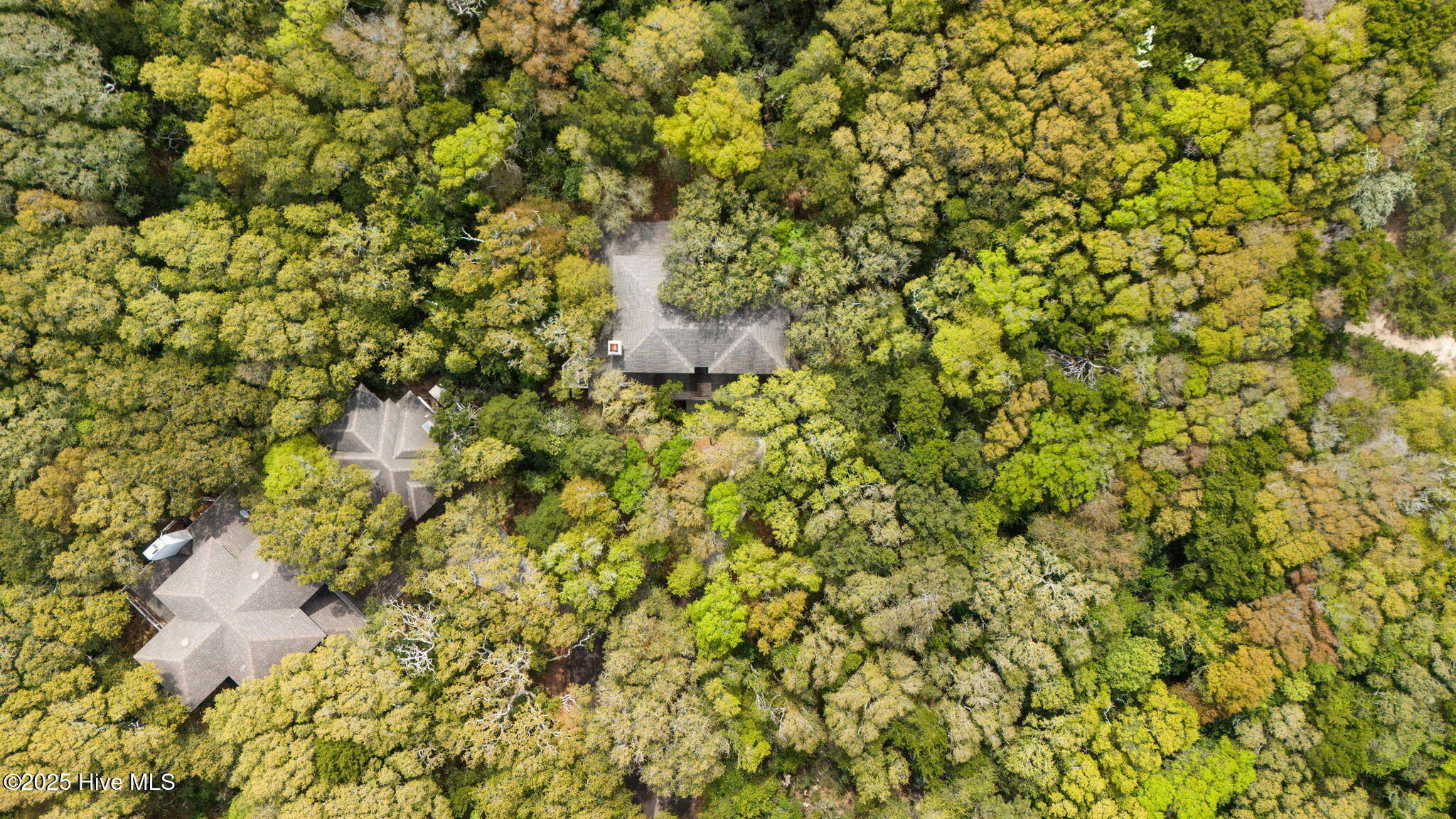 100501952 | Photo 73