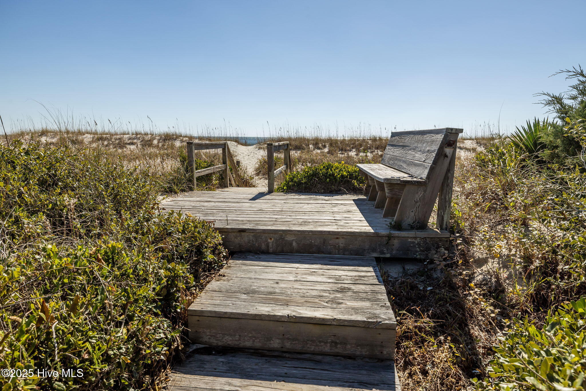 100539750 | Photo 15