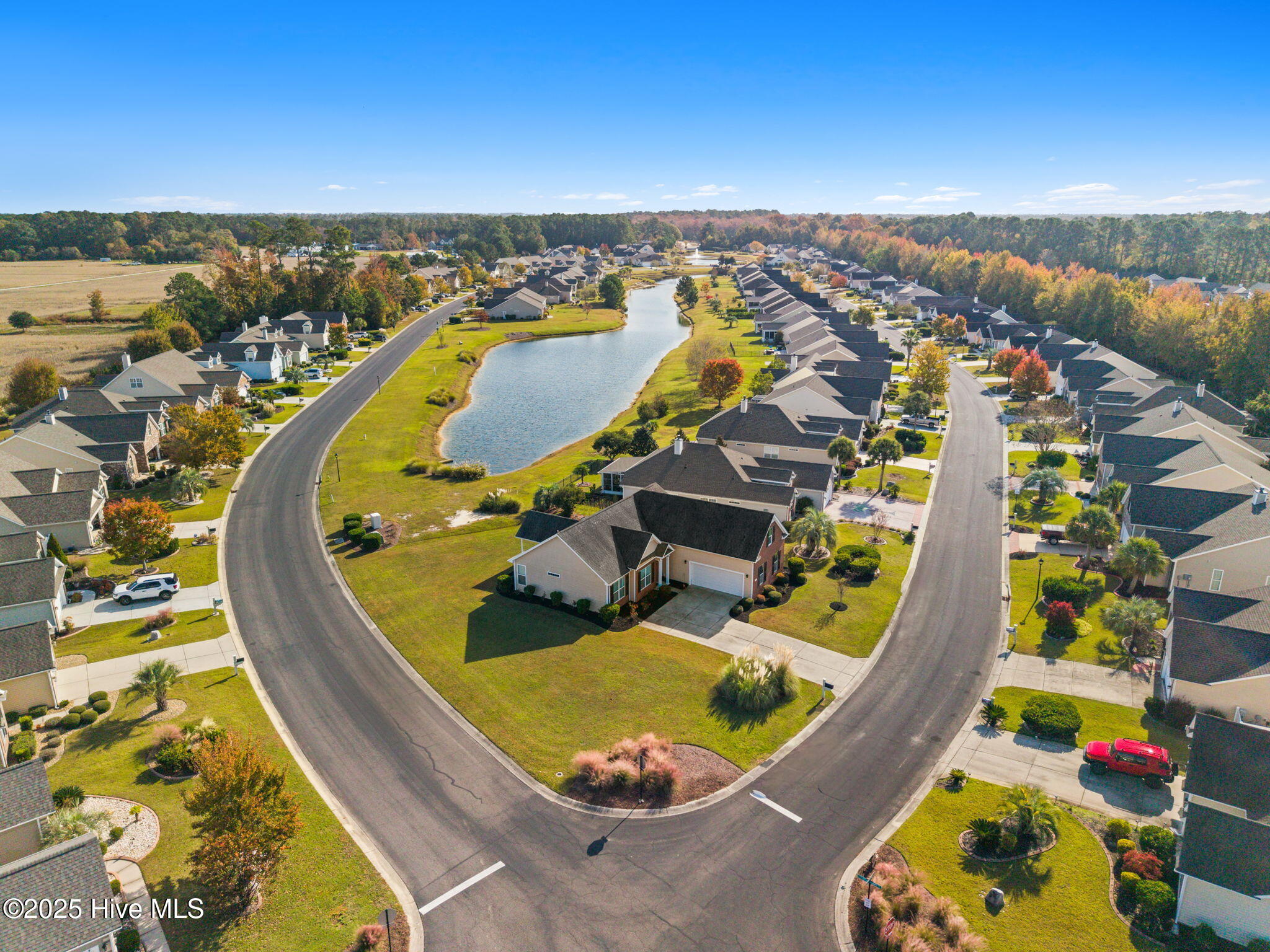 100540486 | Photo 47