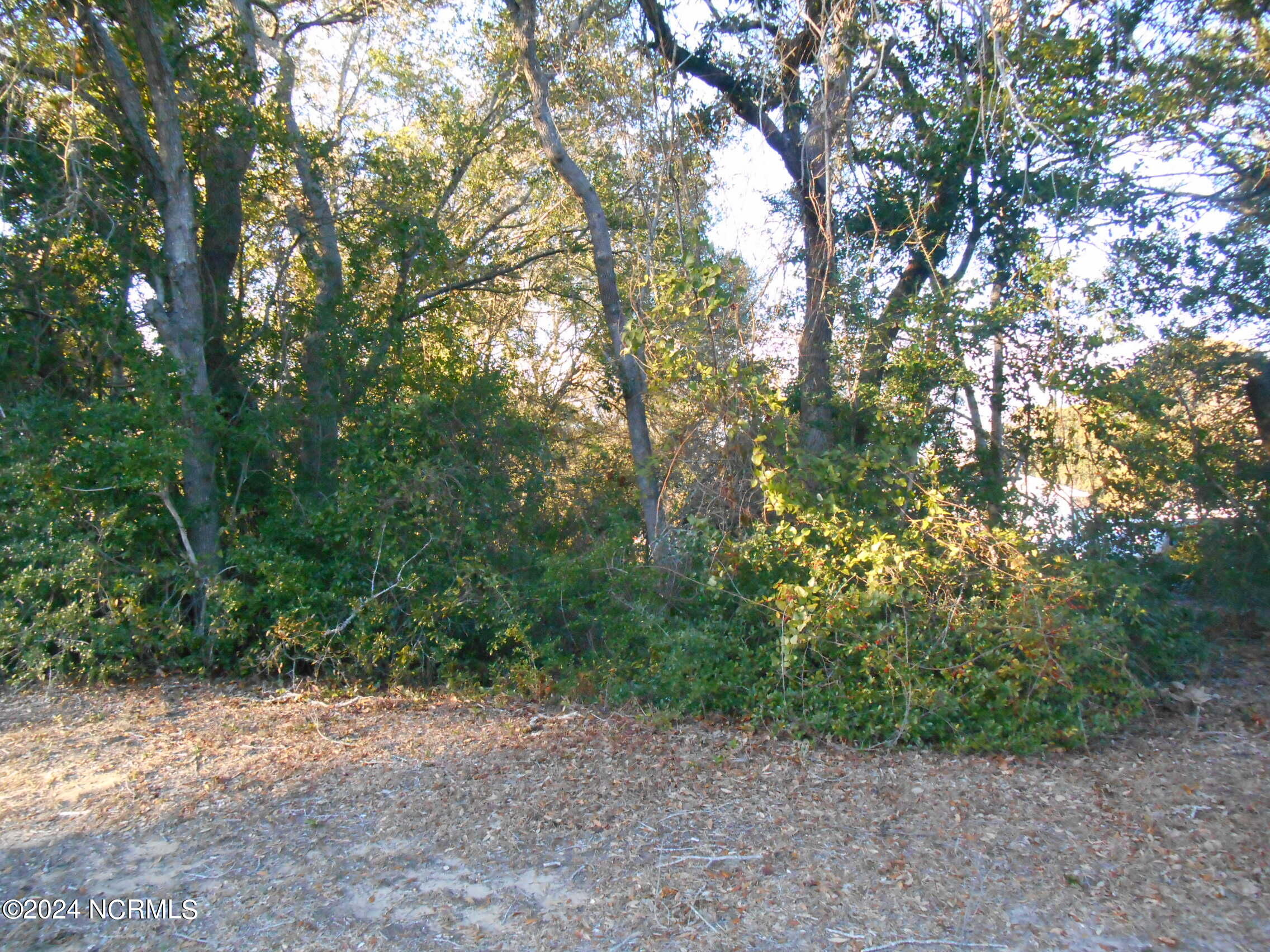 100424727 | Photo 2