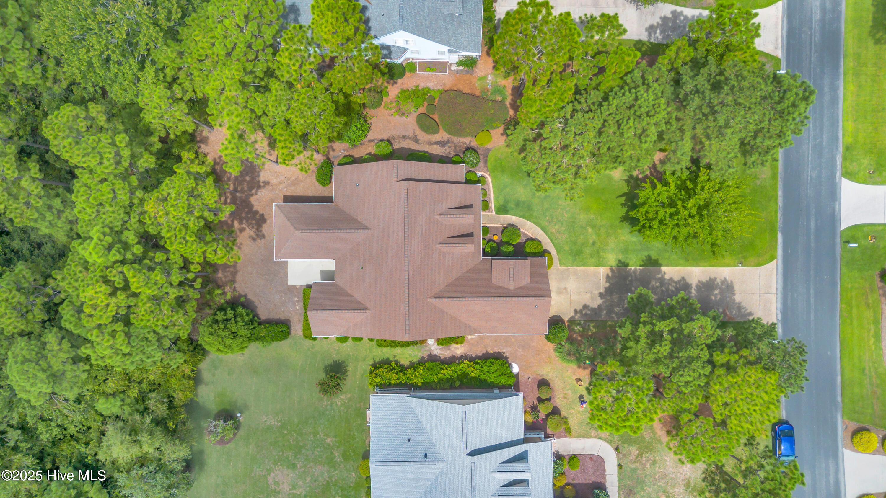 100523896 | Photo 46