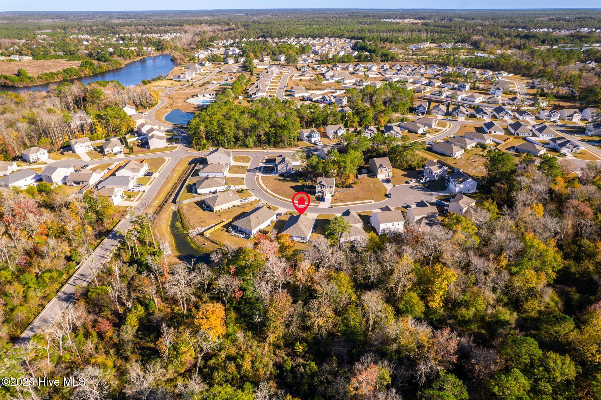 100542071 | Photo 28