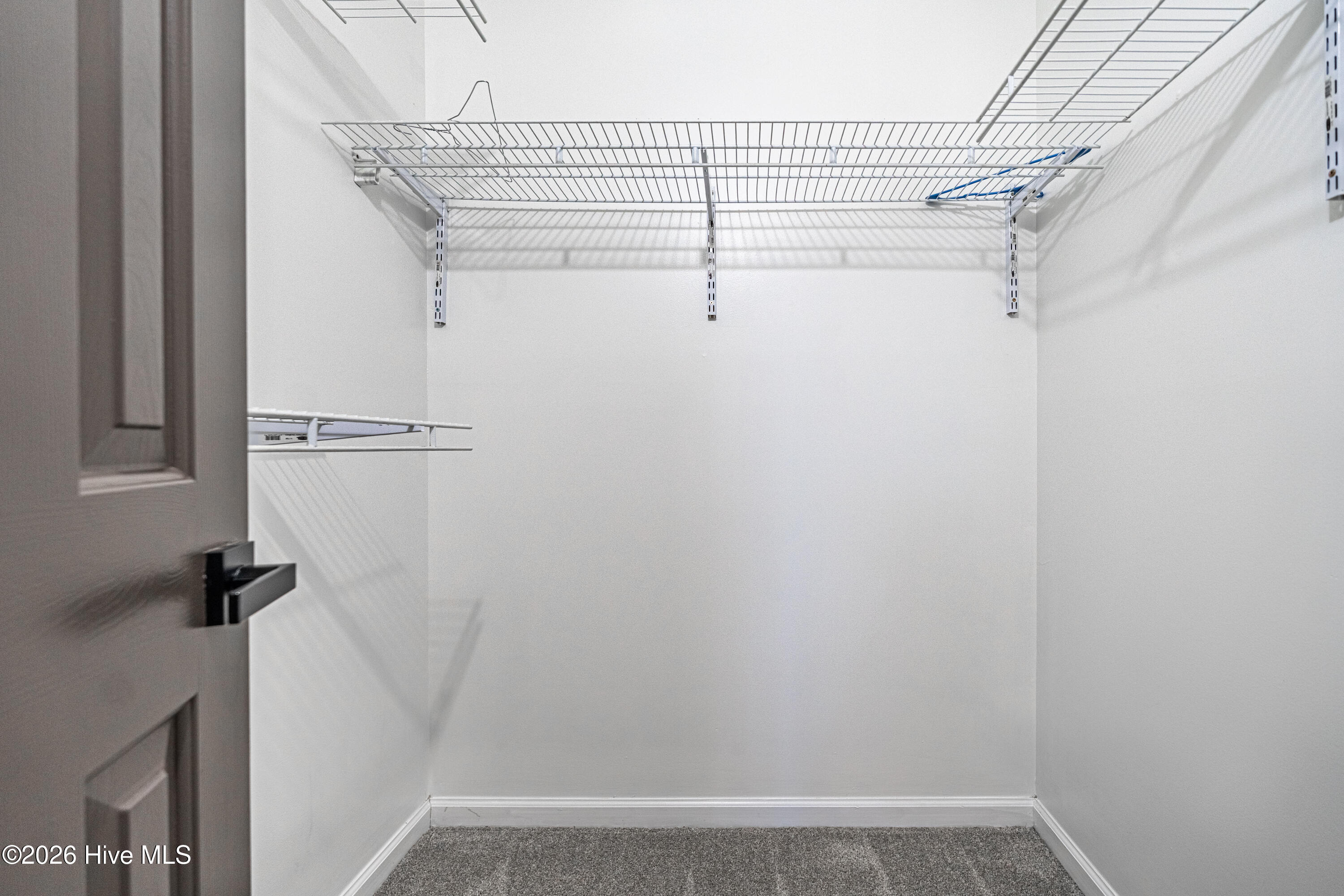 100557378 | Photo 42