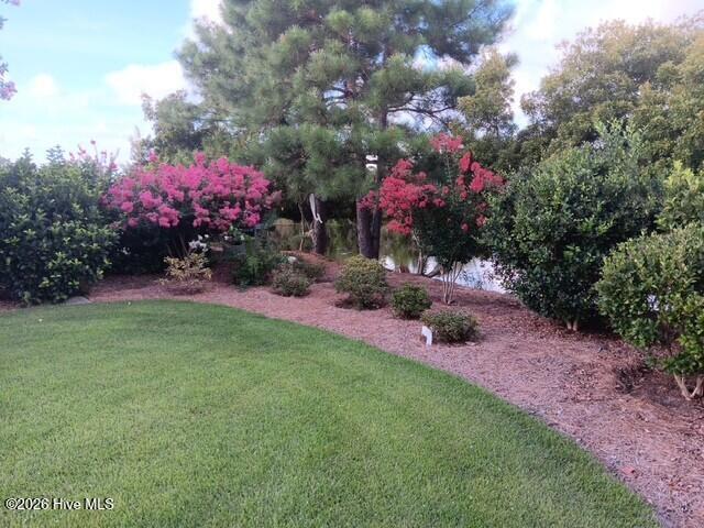 100561215 | Photo 27