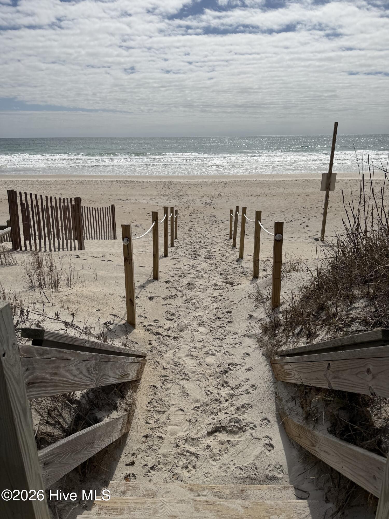 100561498 | Photo 50