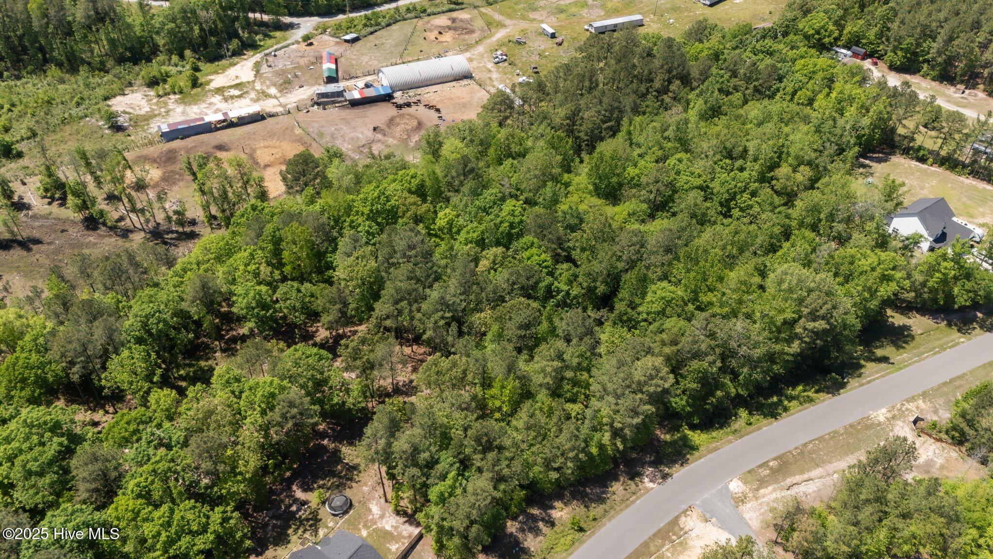 4th image of 219 Stella Wy, Cameron, NC 28326 | MLS# 100599208