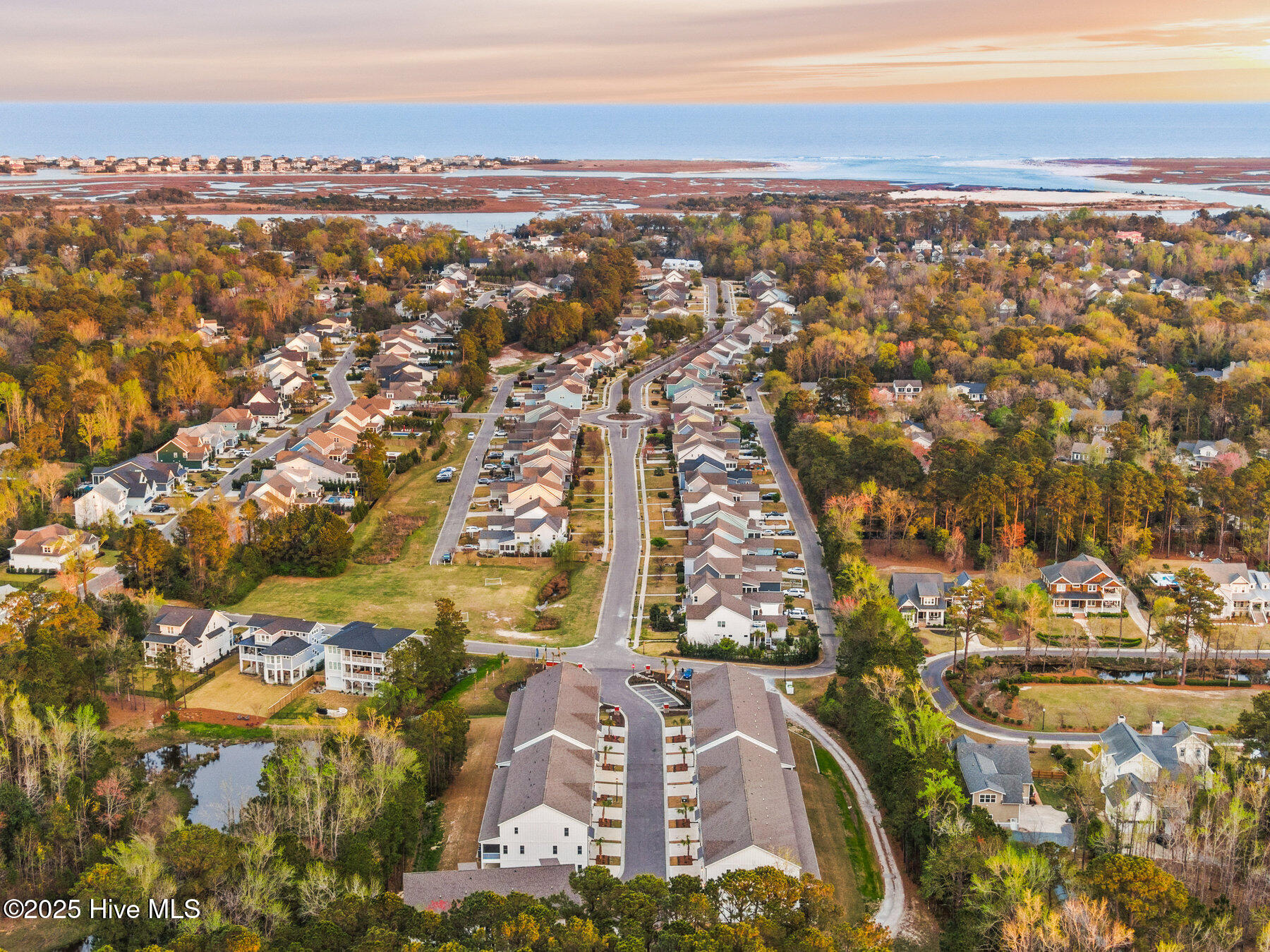 100524415 | Photo 19