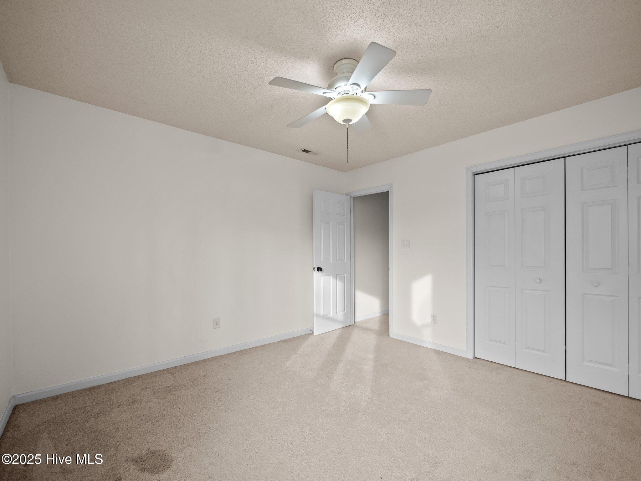 100559865 | Photo 22