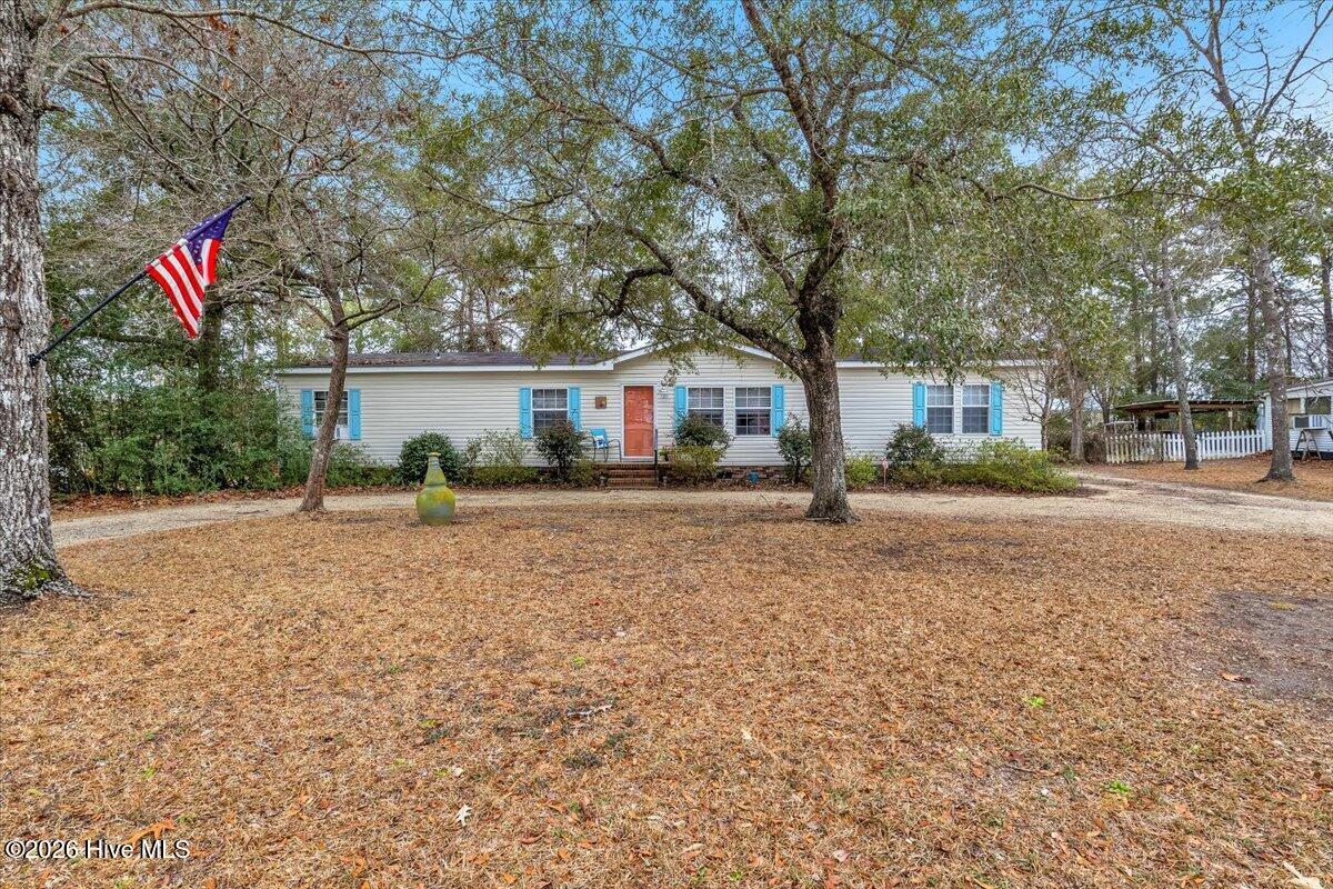 100554513 | Photo 48