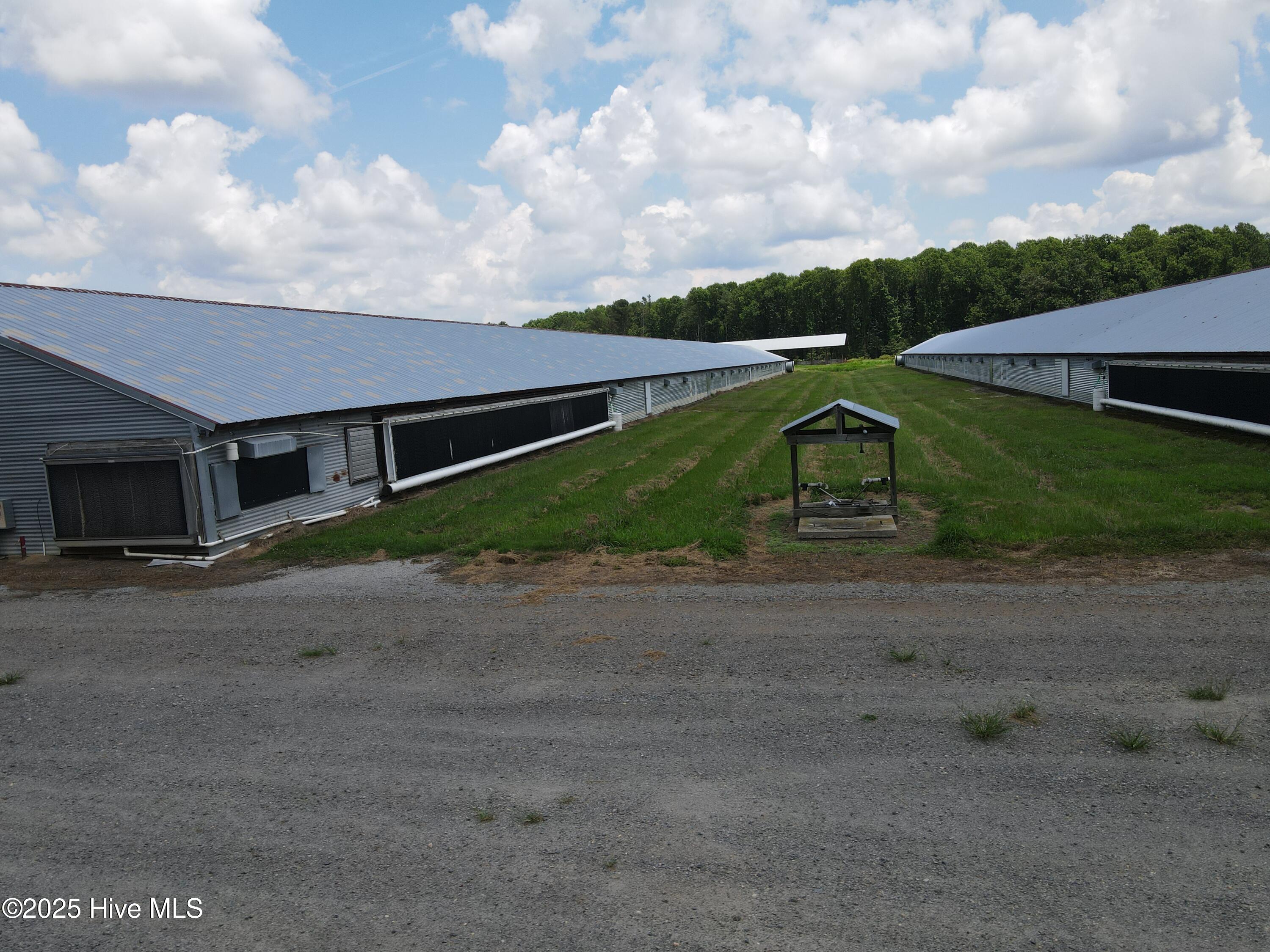 Tbd E Woodrow School Road, Murfreesboro, NC, 27855