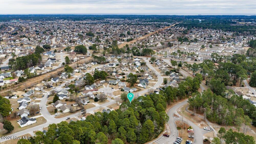 100551608 | Photo 40