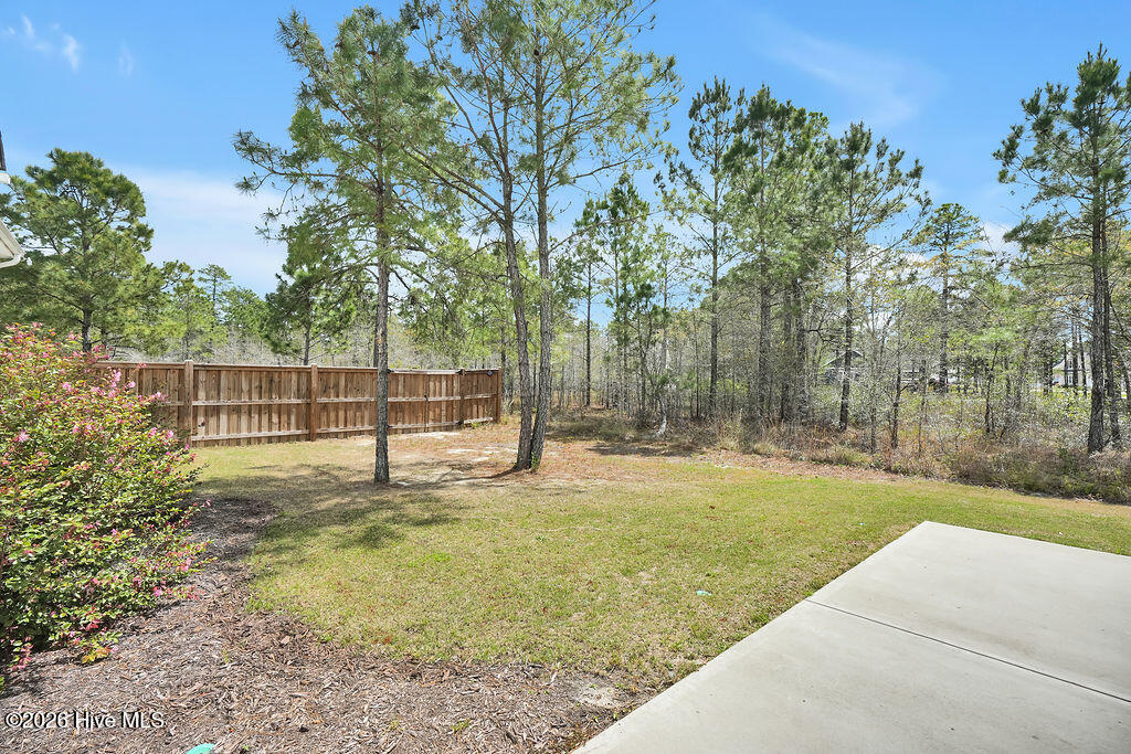 100564545 | Photo 44